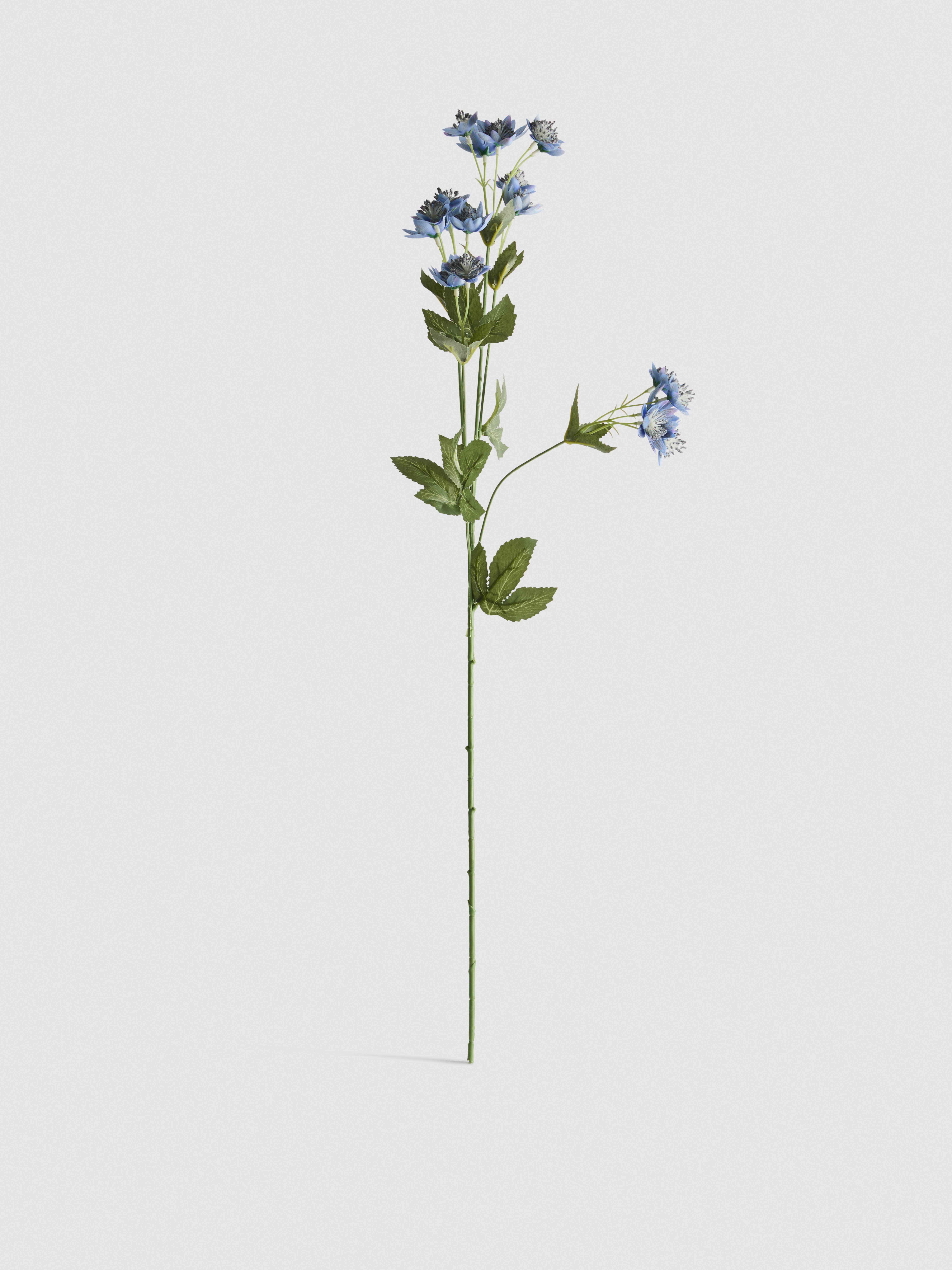 Astranzia artificiale a stelo singolo