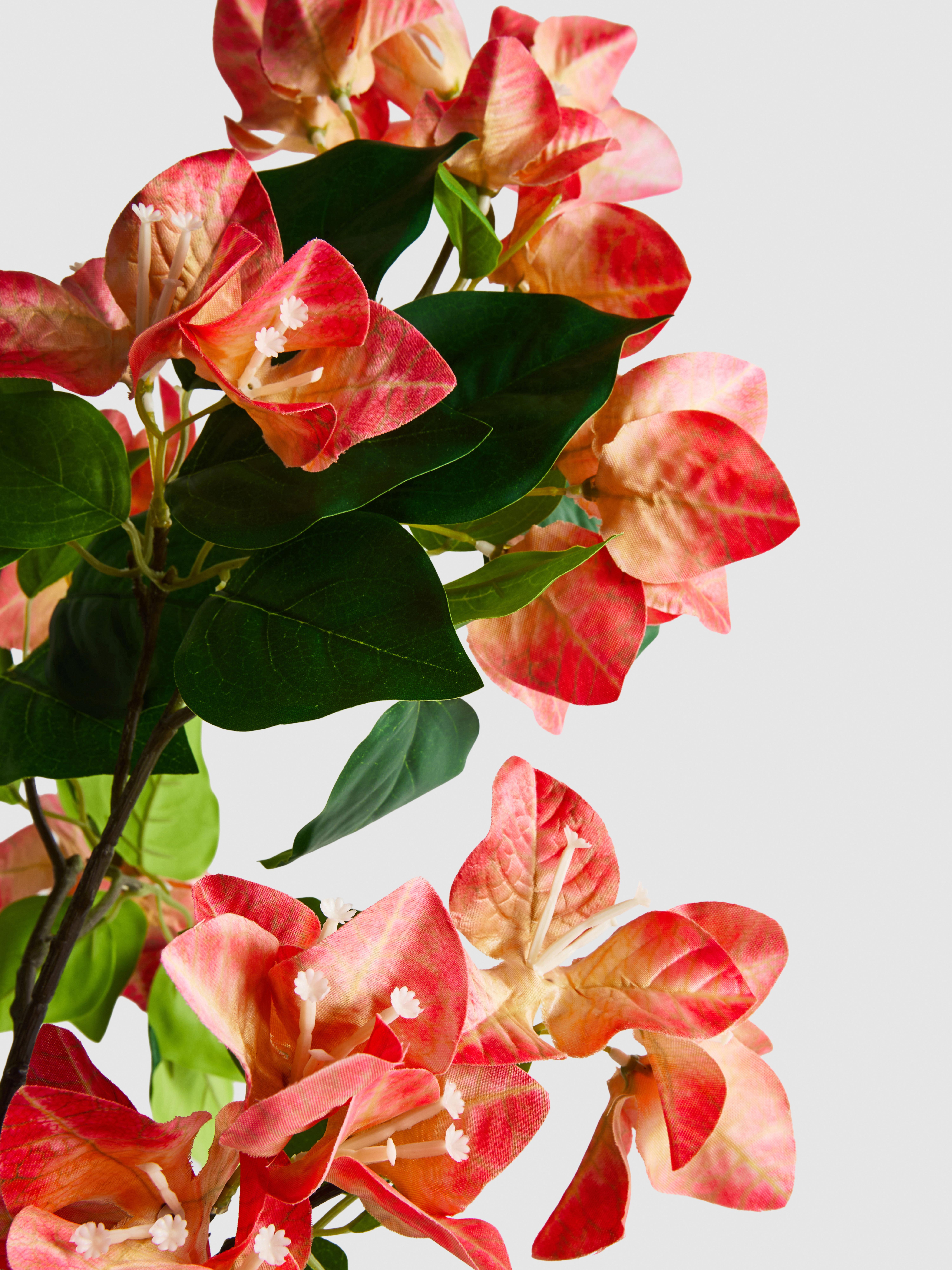 Bougainvillier artificiel une tige