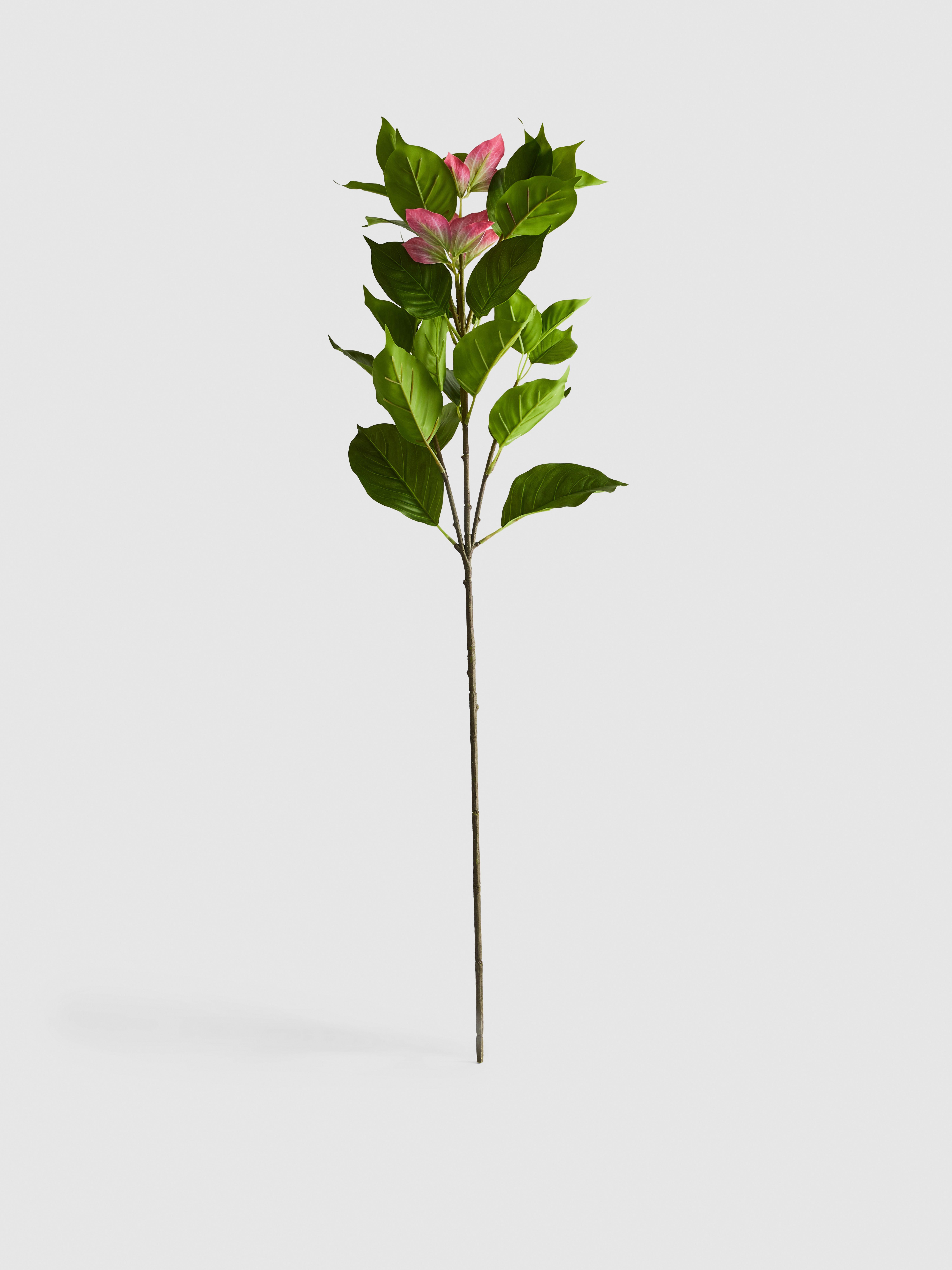 Imitatie-anthurium met enkele steel