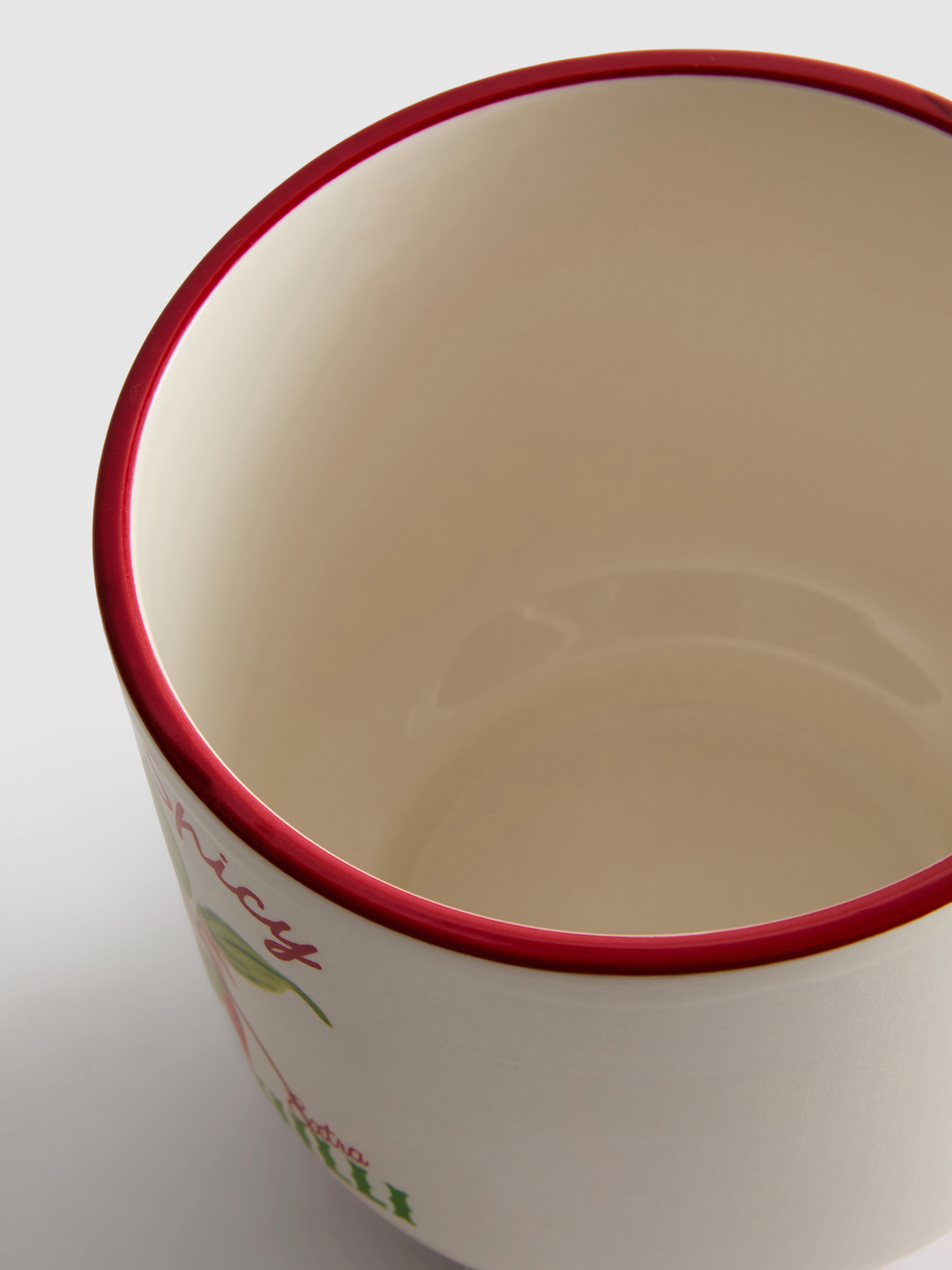 Ceramic Chilli Plant Pot