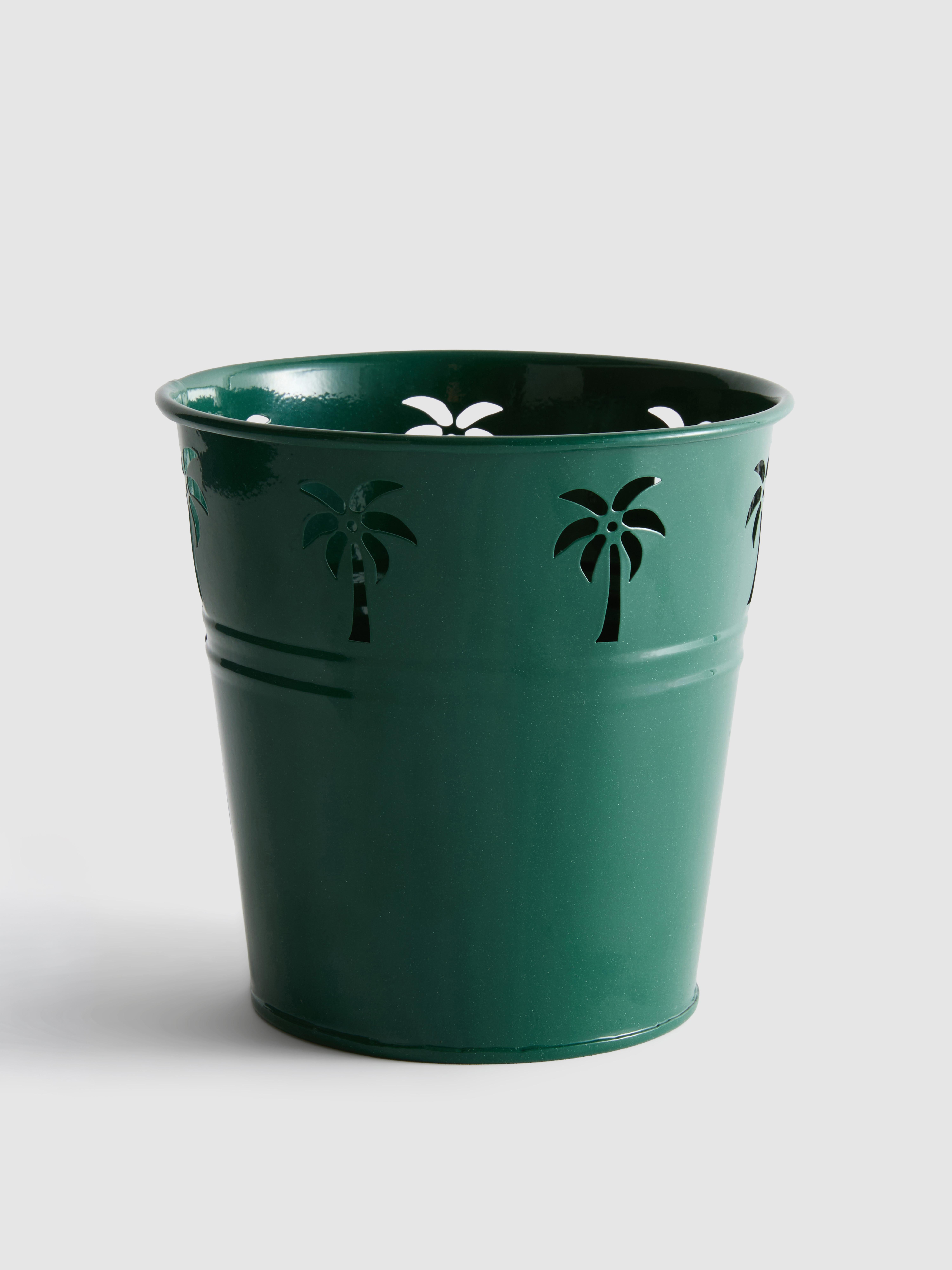 Vaso plantas recortes