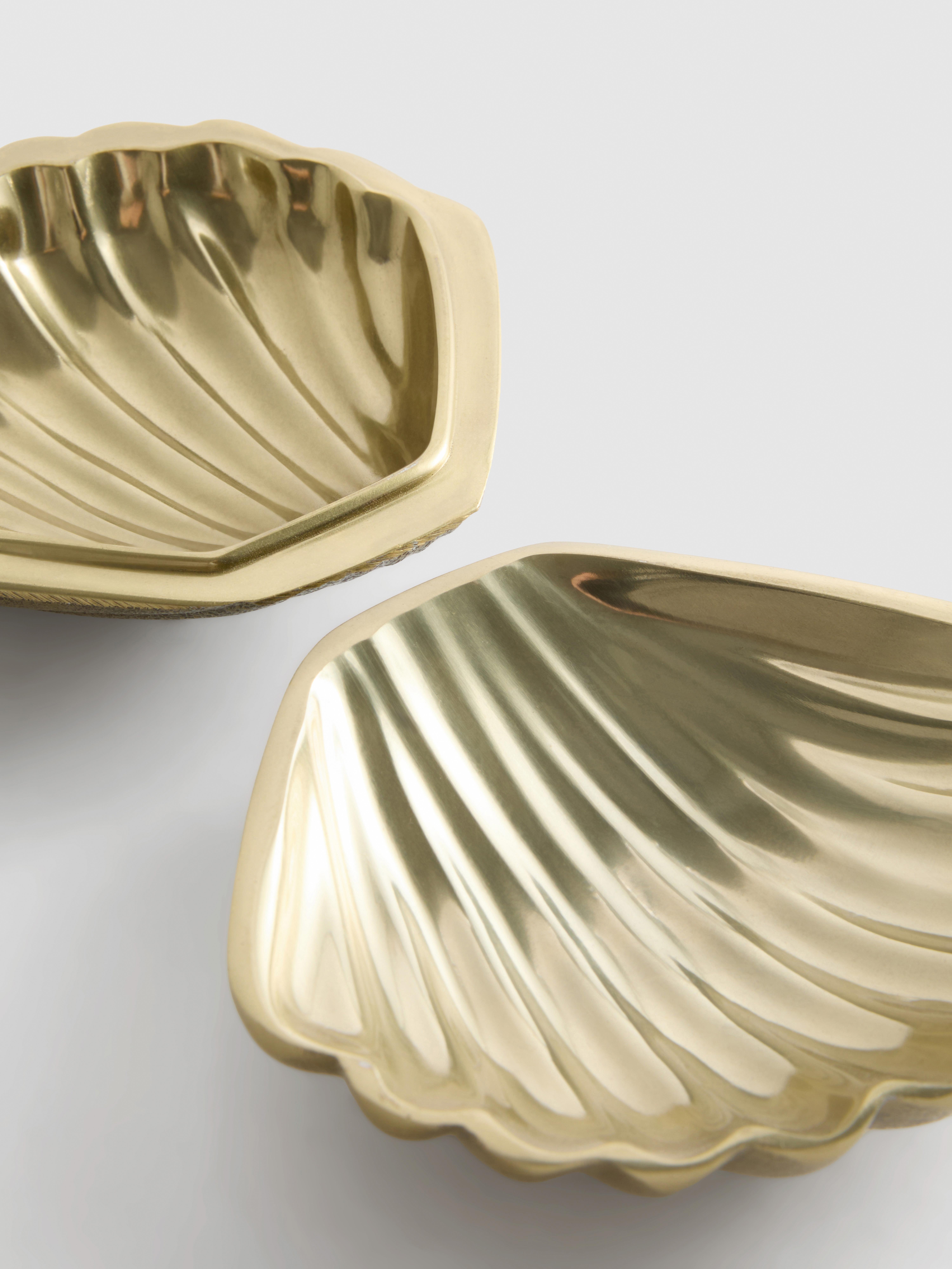 Shell Trinket Box