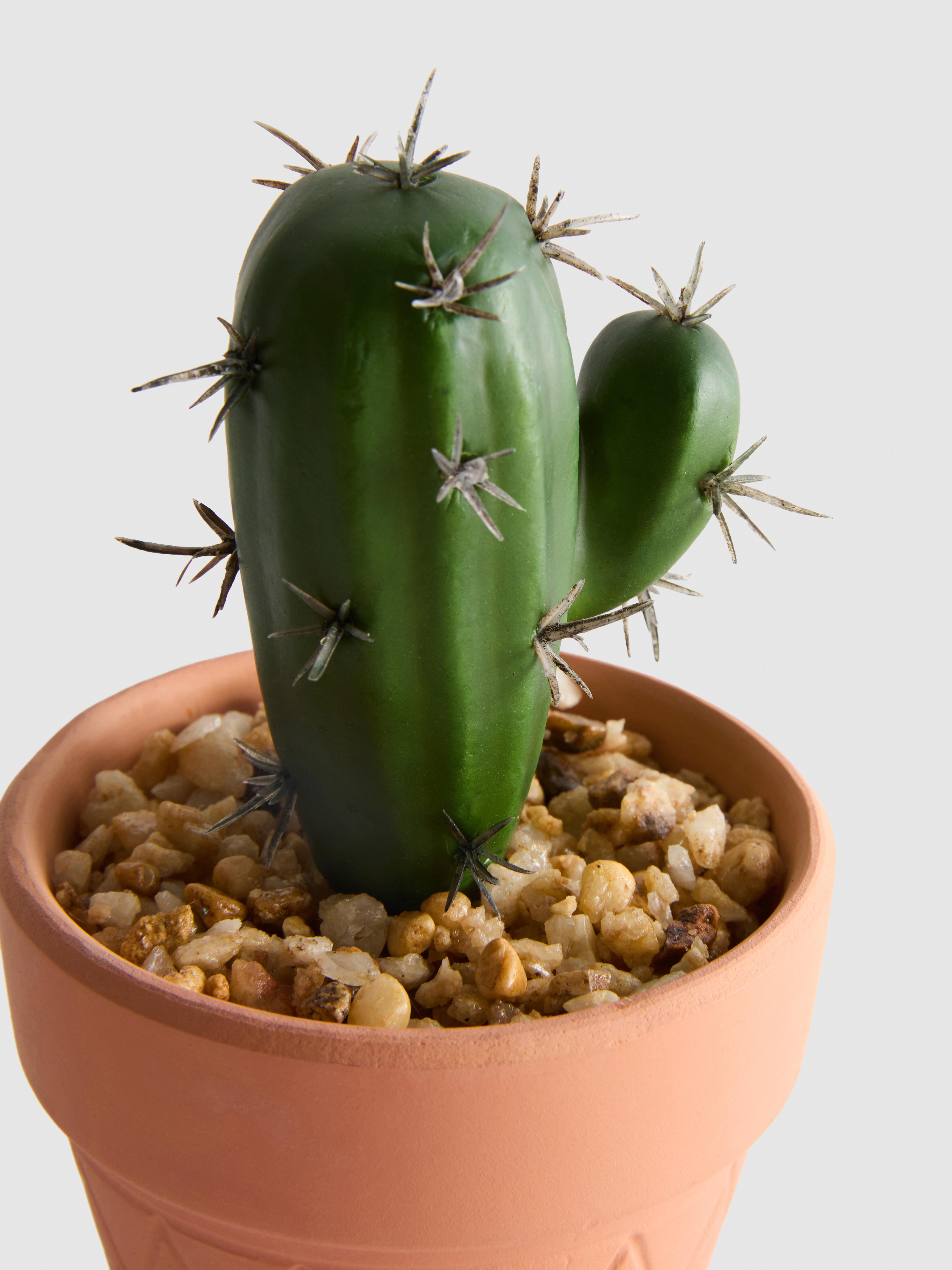 kaktus aus stroh CACTUS Handgeflochtene Dekoration in Palm Tree Doum main image 1
