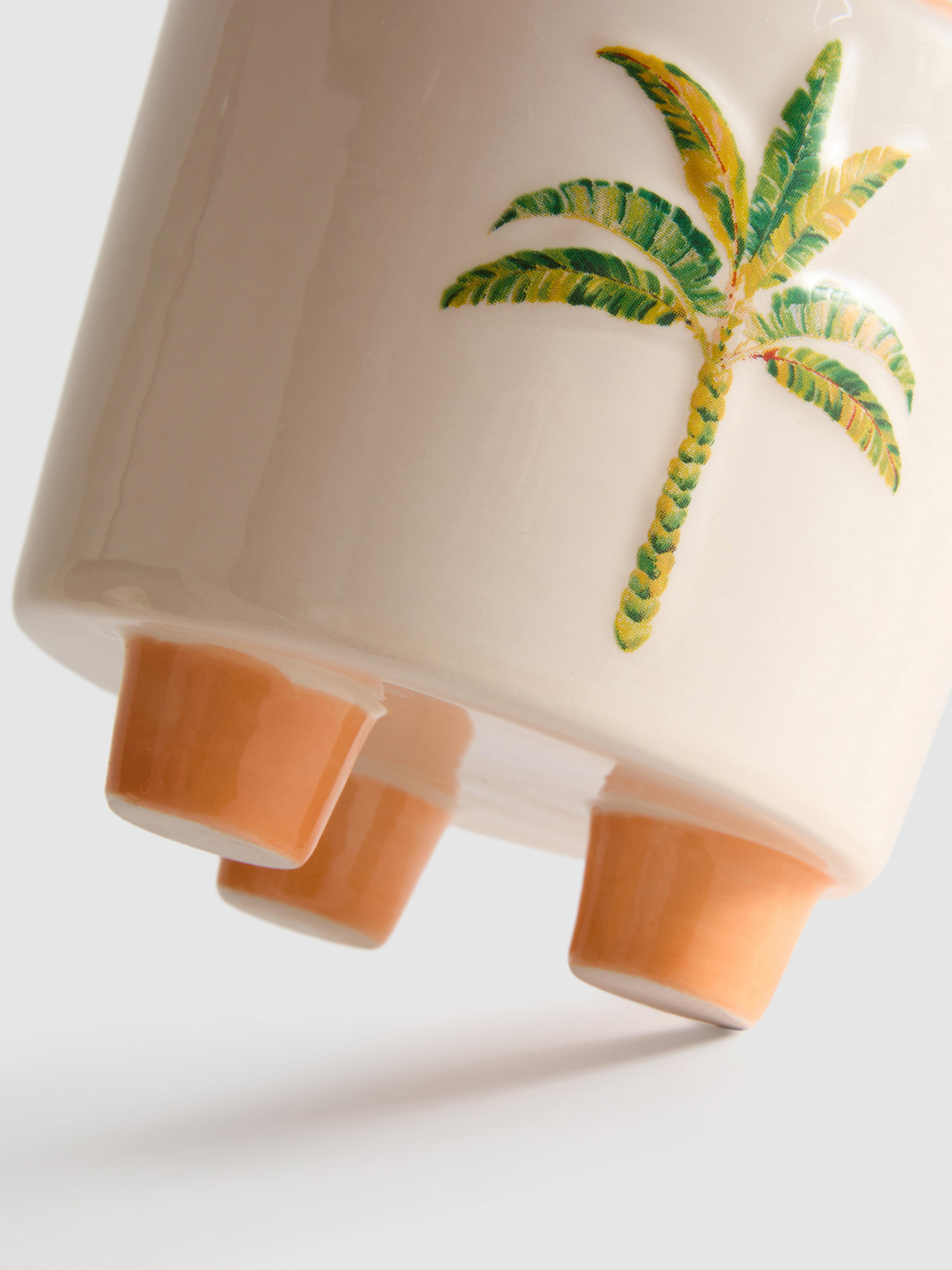 Juego de maceta y pulverizador con palmeras