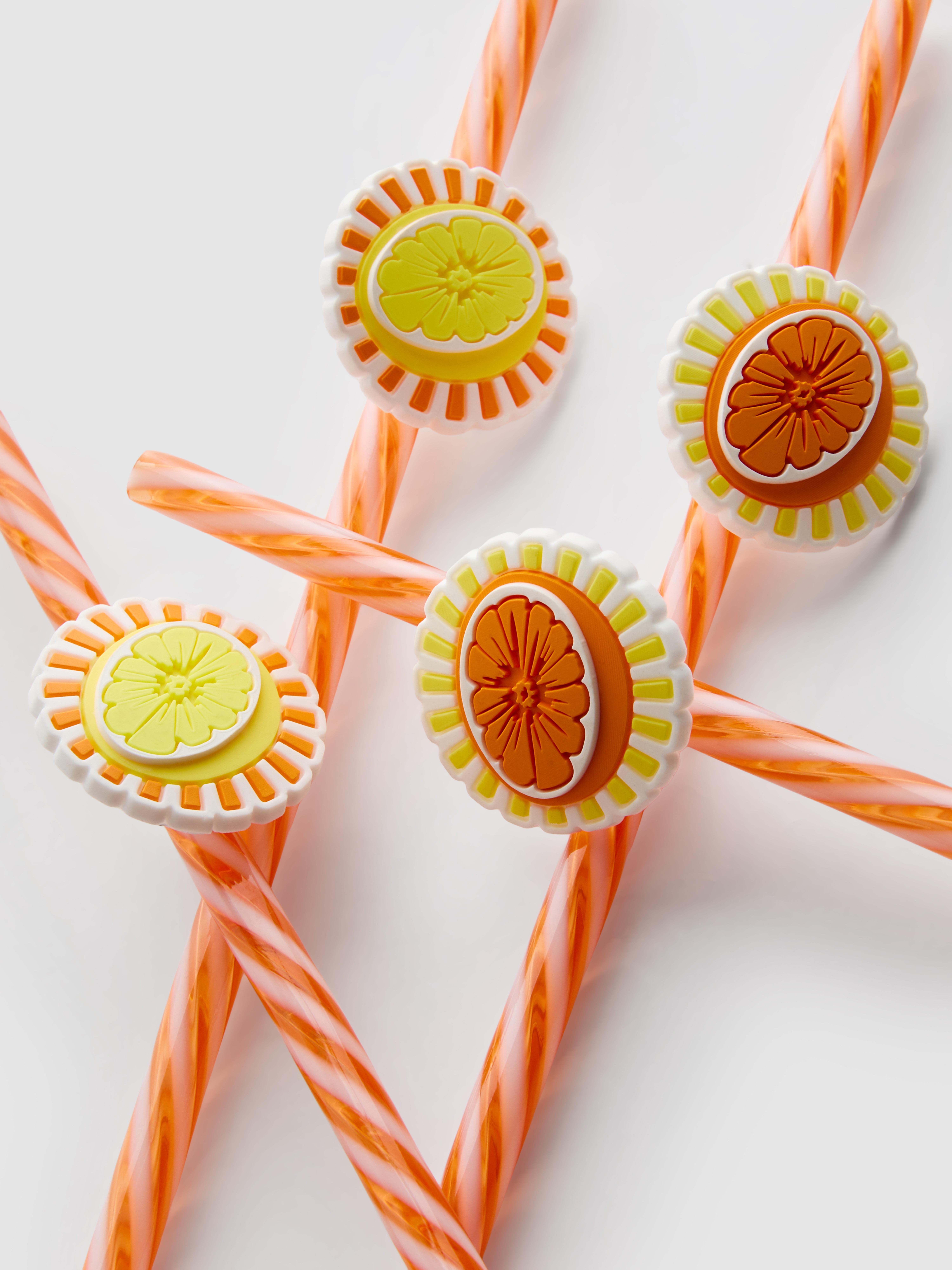 4pk Fruit Slice Novelty Straws