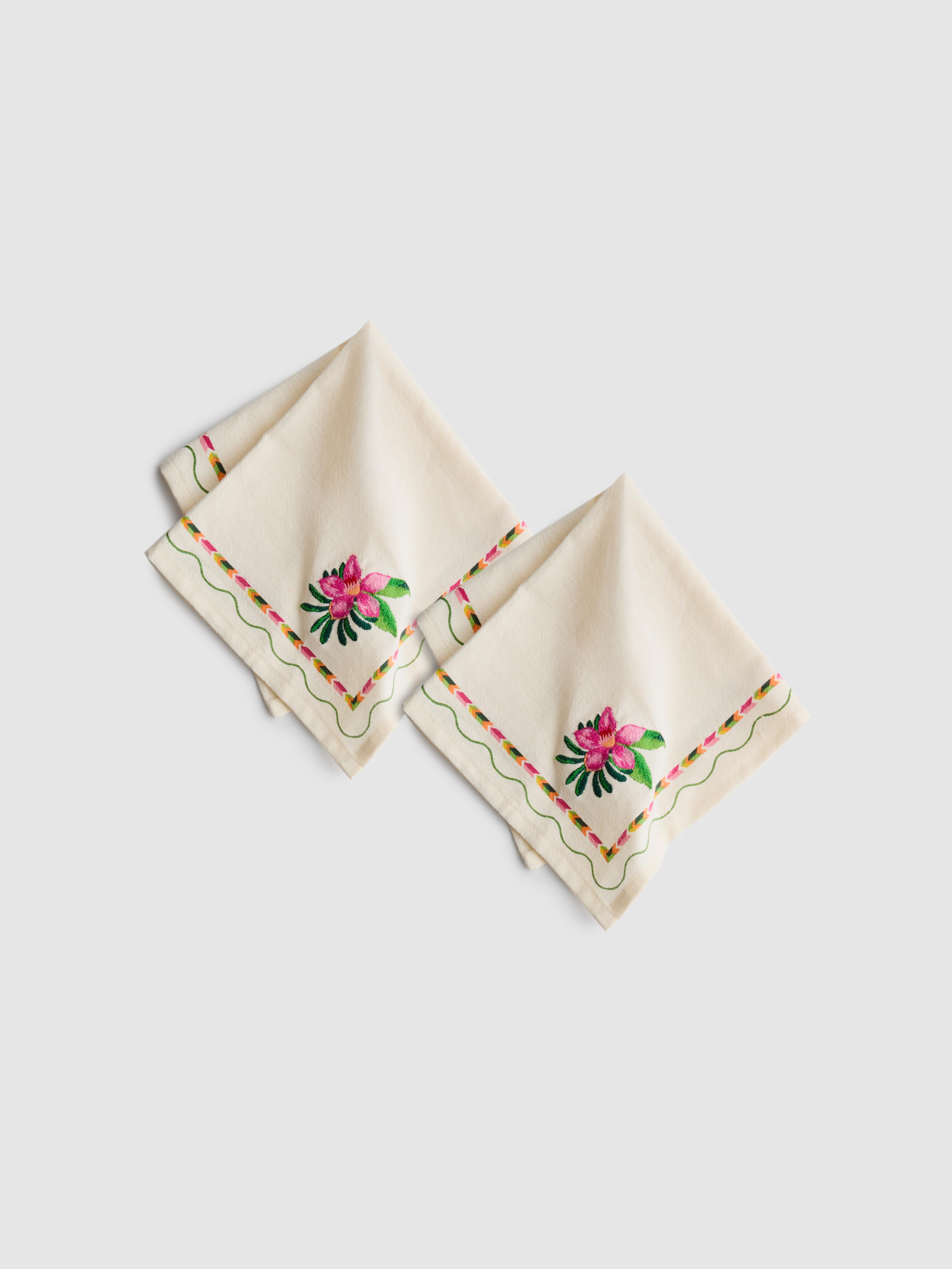 2pk Embroidered Fruit Cloth Napkins