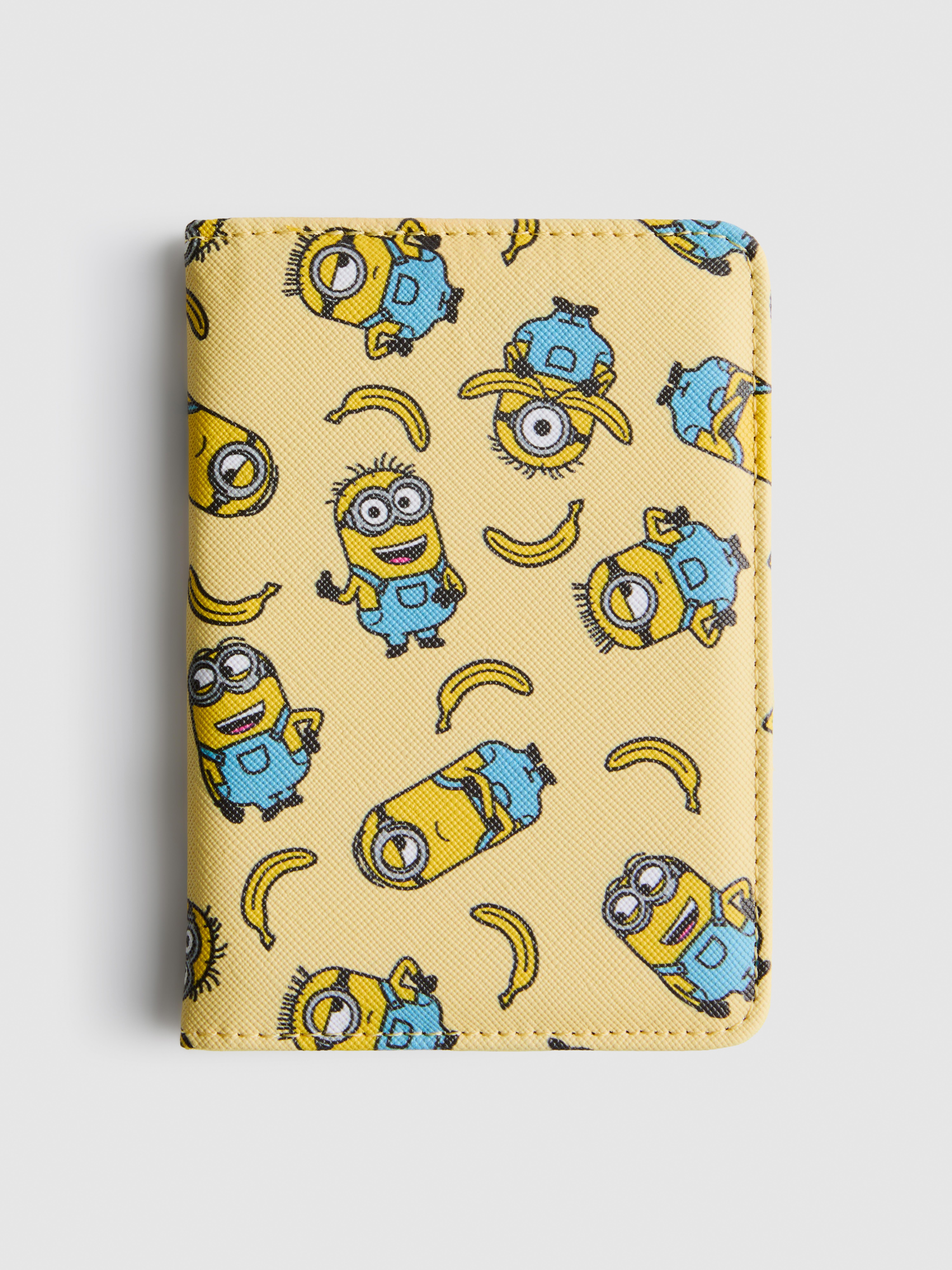 Paspoorthoes Minions