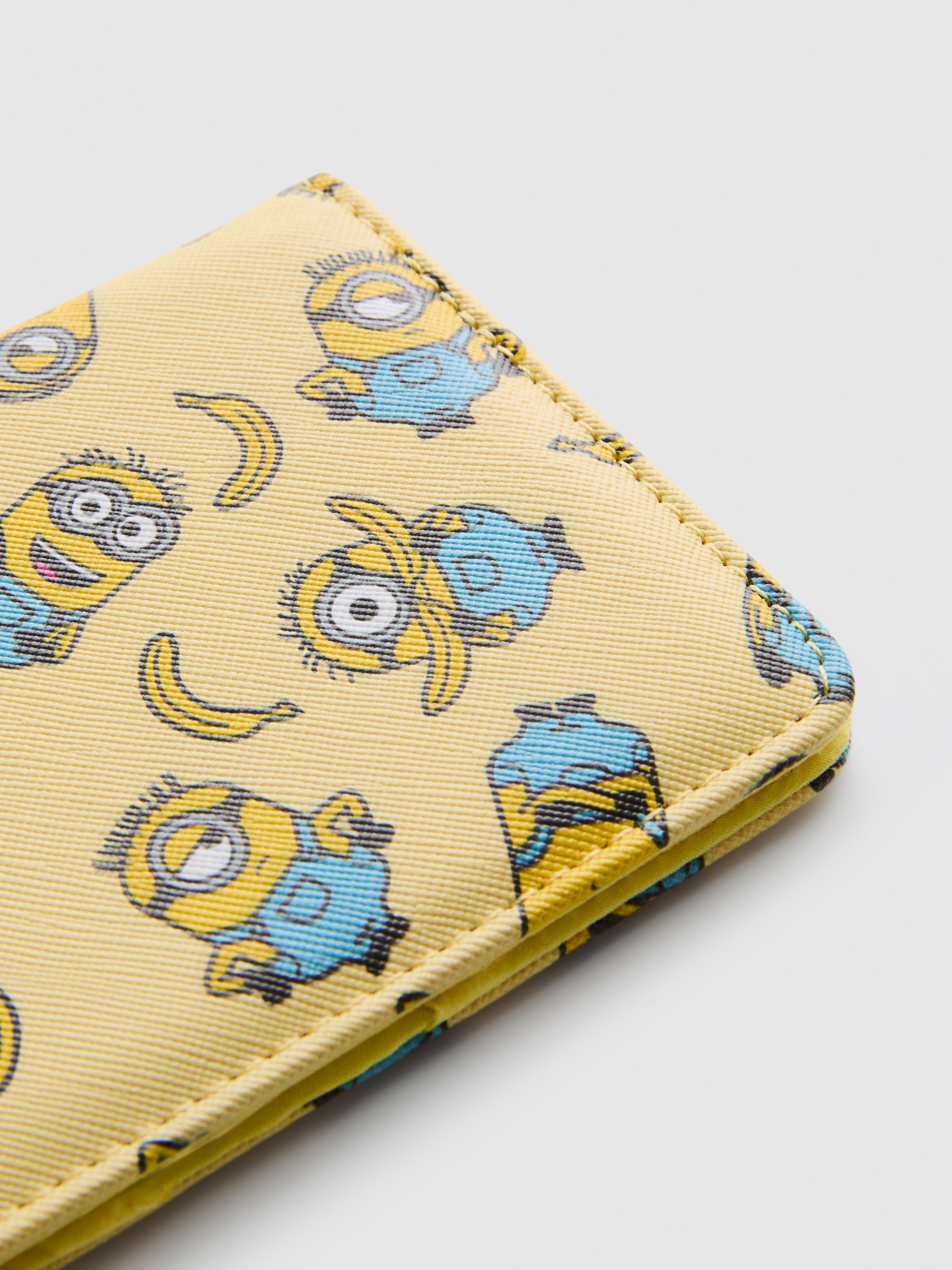 Minions passport Cover