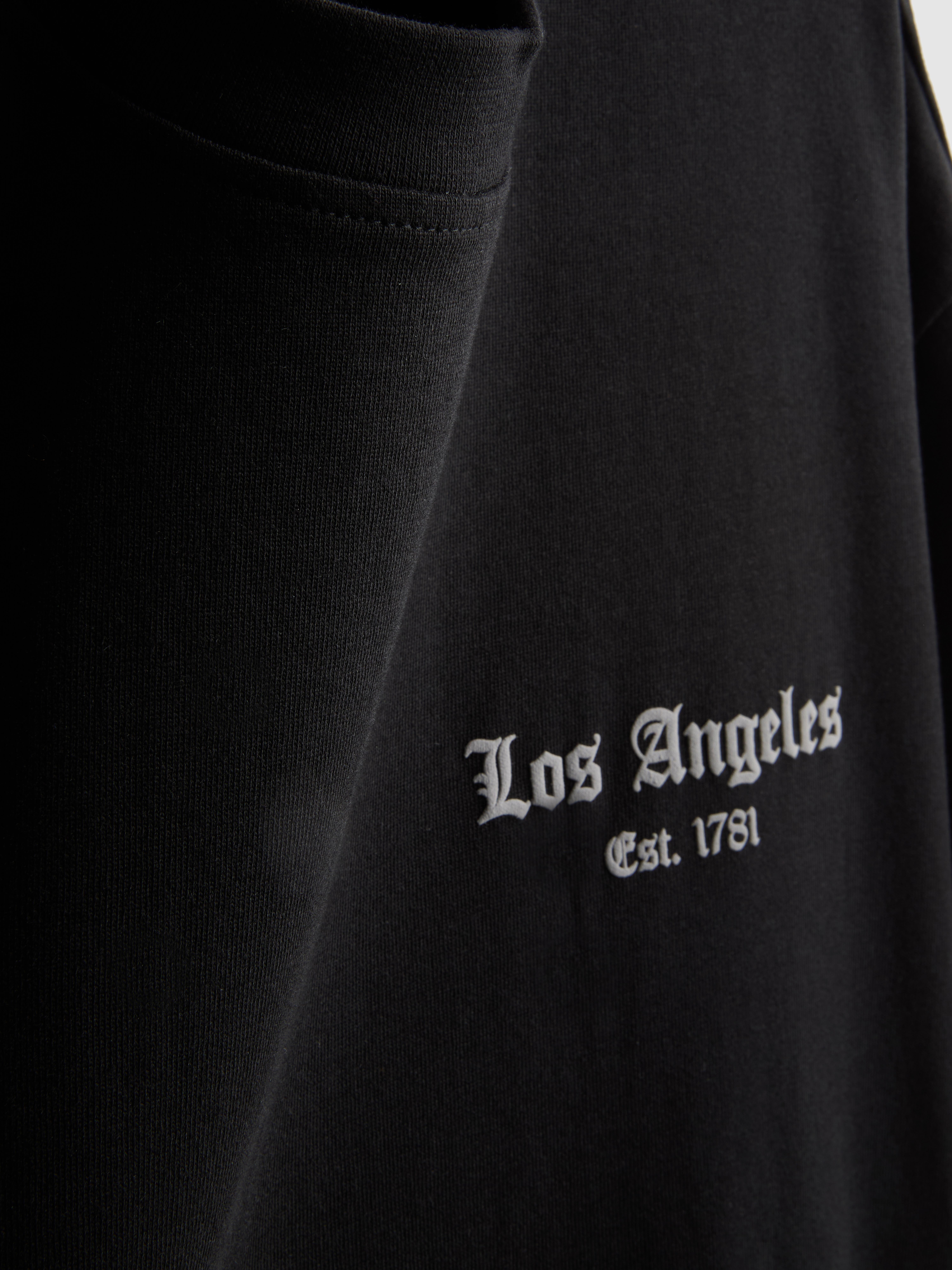 Los Angeles Graphic T-Shirt
