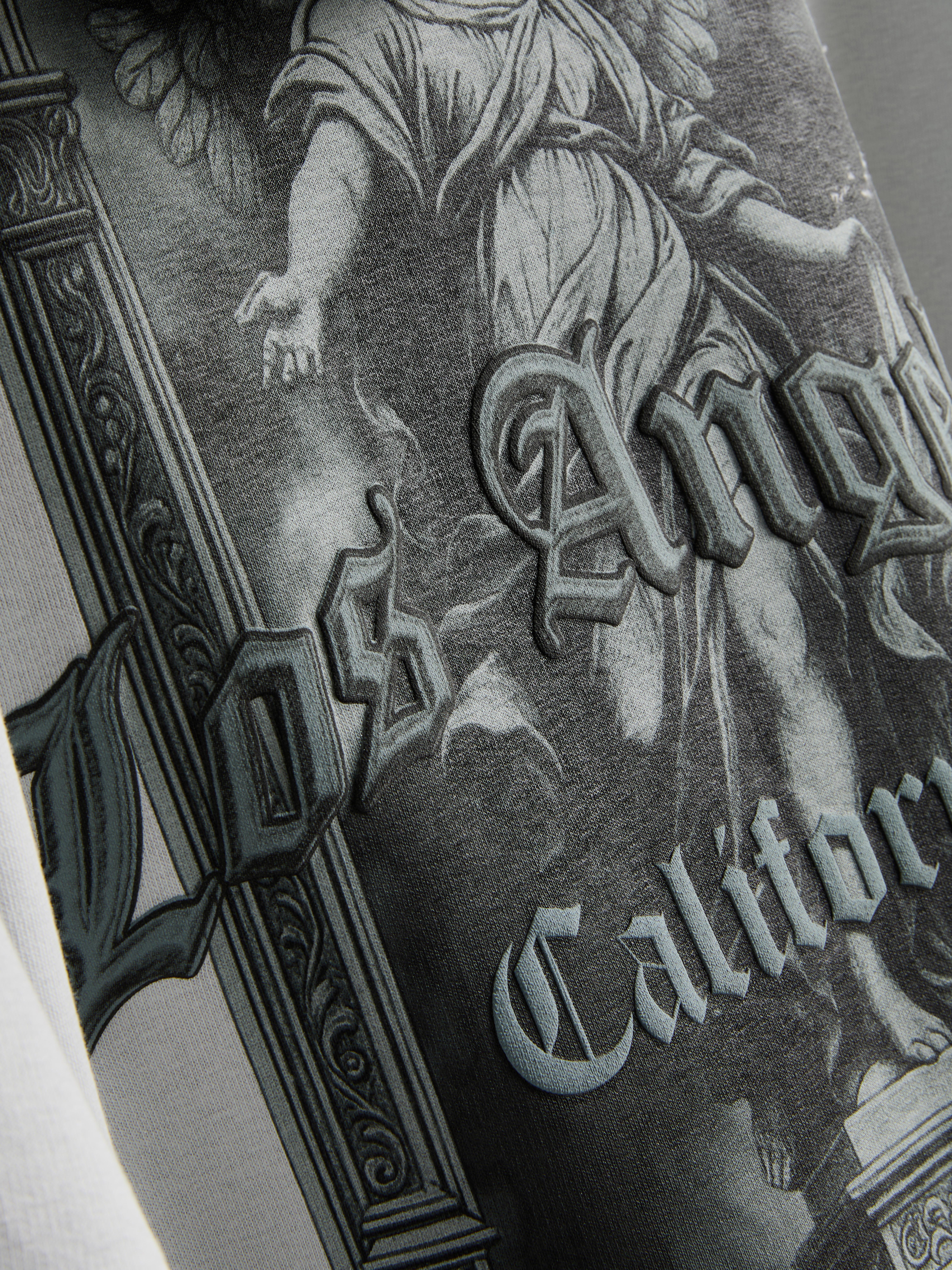 Los Angeles Graphic Hoodie