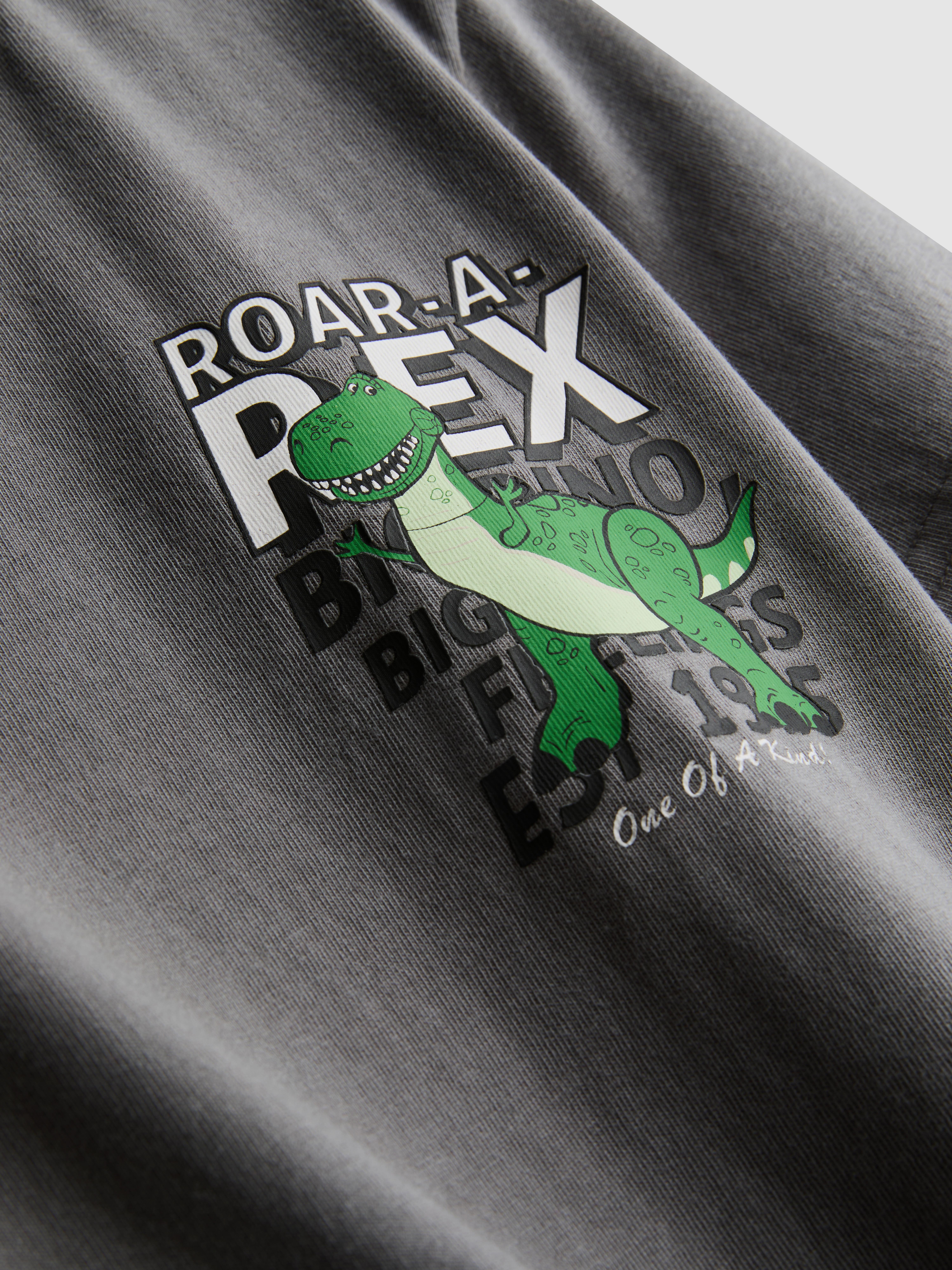 1-9yrs | Disney Pixar’s Toy Story Rex T-Shirt