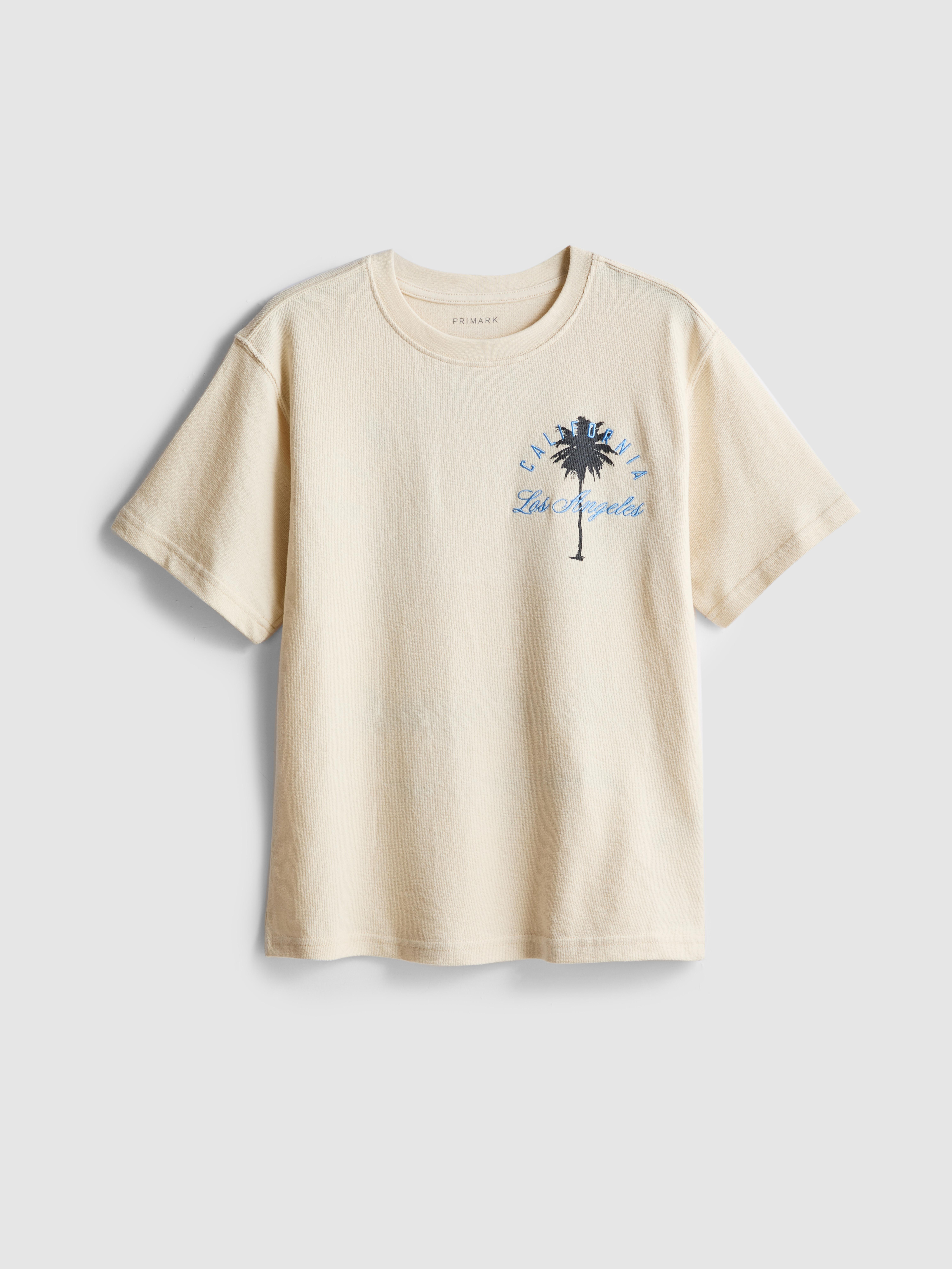 Boys Stone 7-15yrs | Palm Tree Graphic Textured T-Shirt | Primark