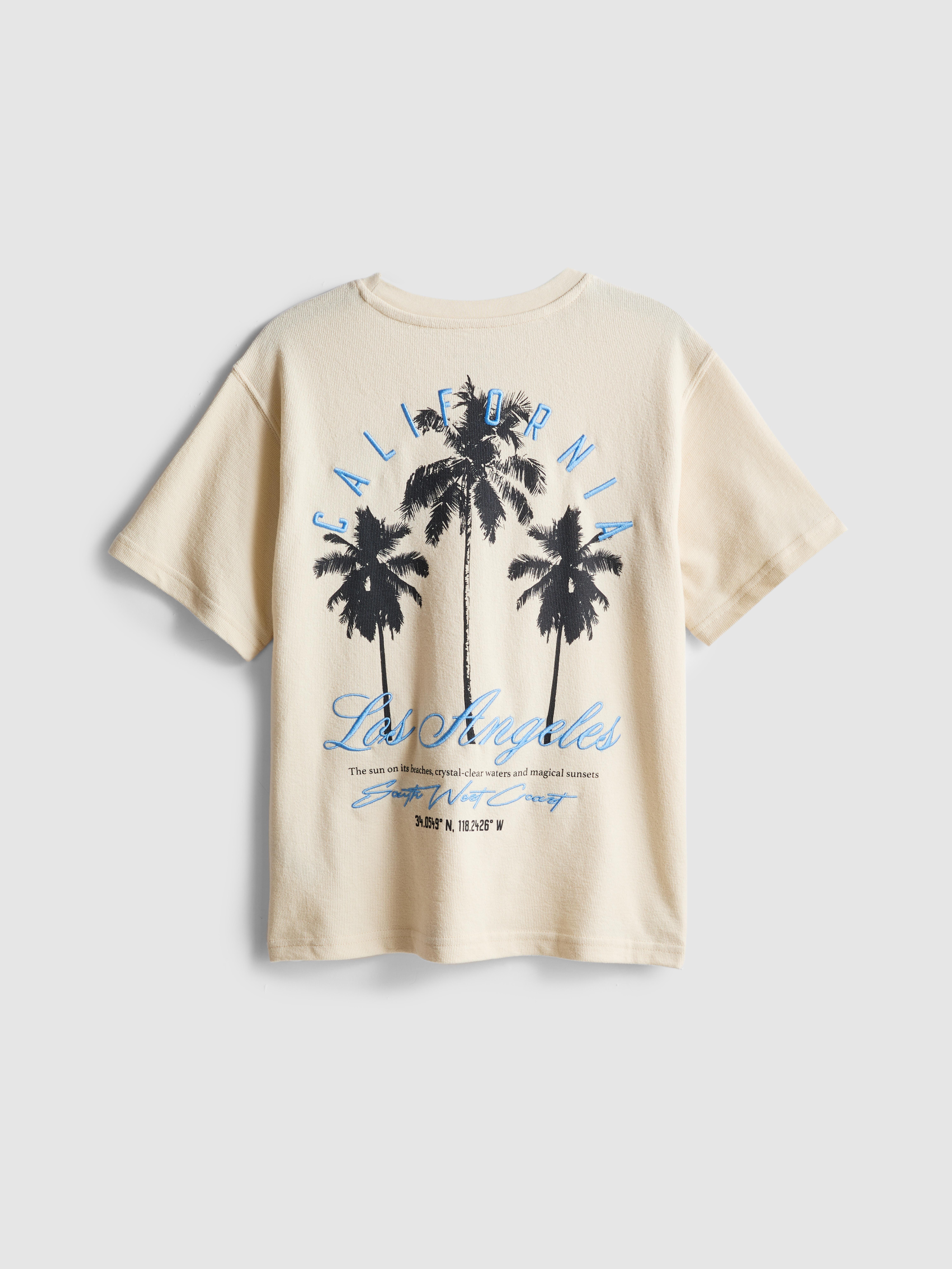 7-15yrs | Palm Tree Graphic Textured T-Shirt
