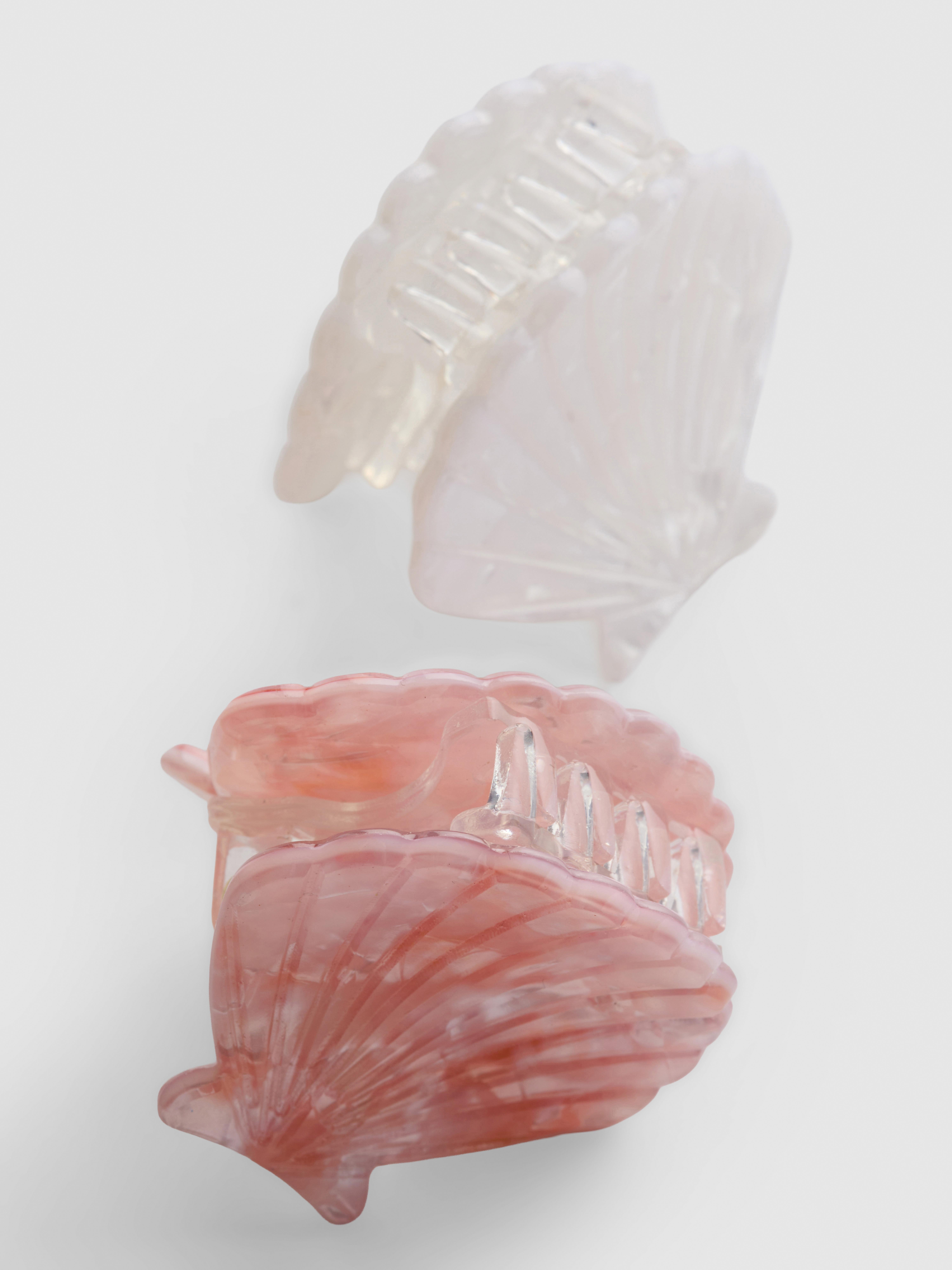 2pk Shell Hair Clips