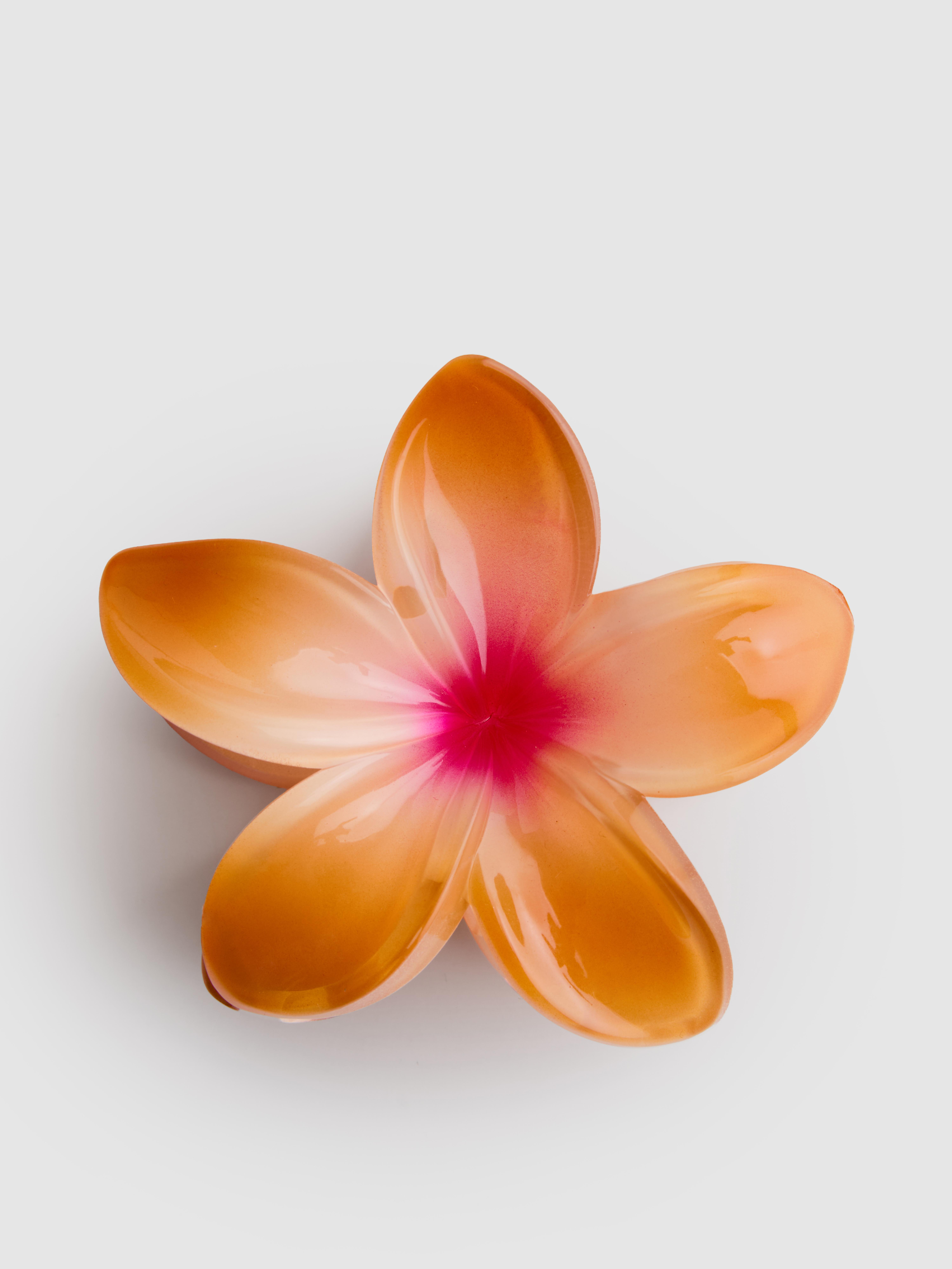 Women's White/Taupe Orchid Flower Claw Clip | Penneys