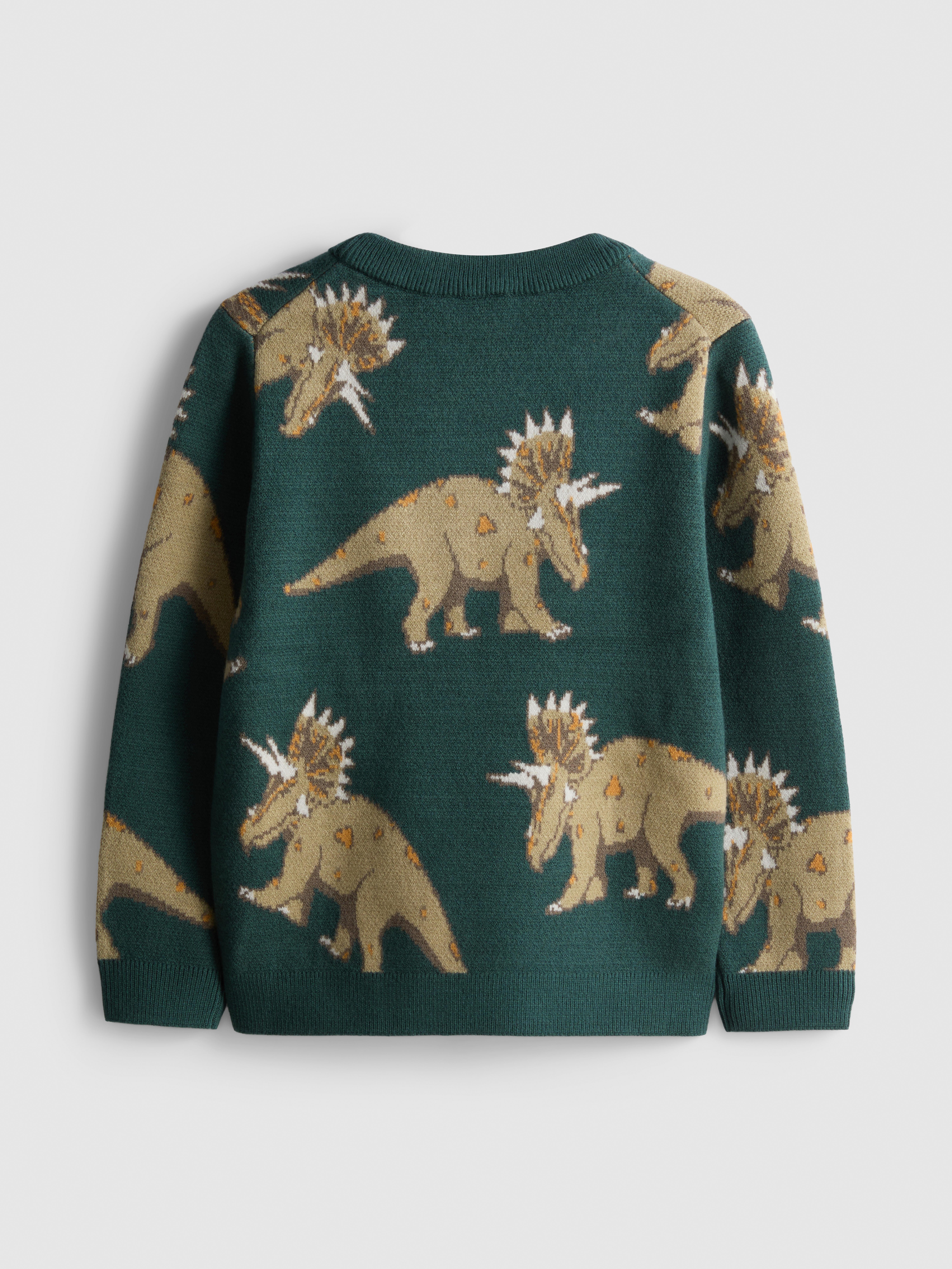 1-9yrs | Dinosaur Graphic Sweater