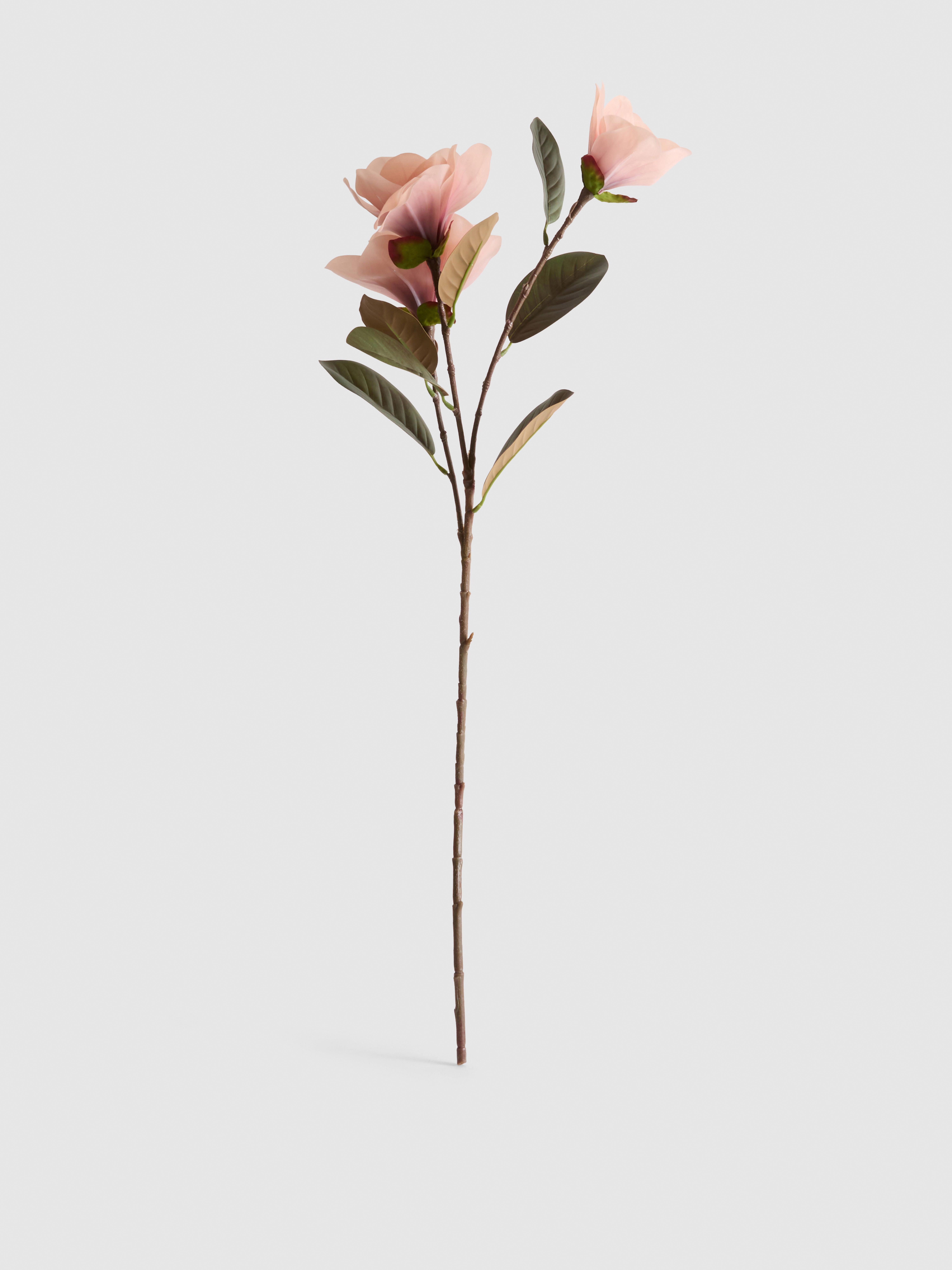 Künstlicher Magnolienstiel