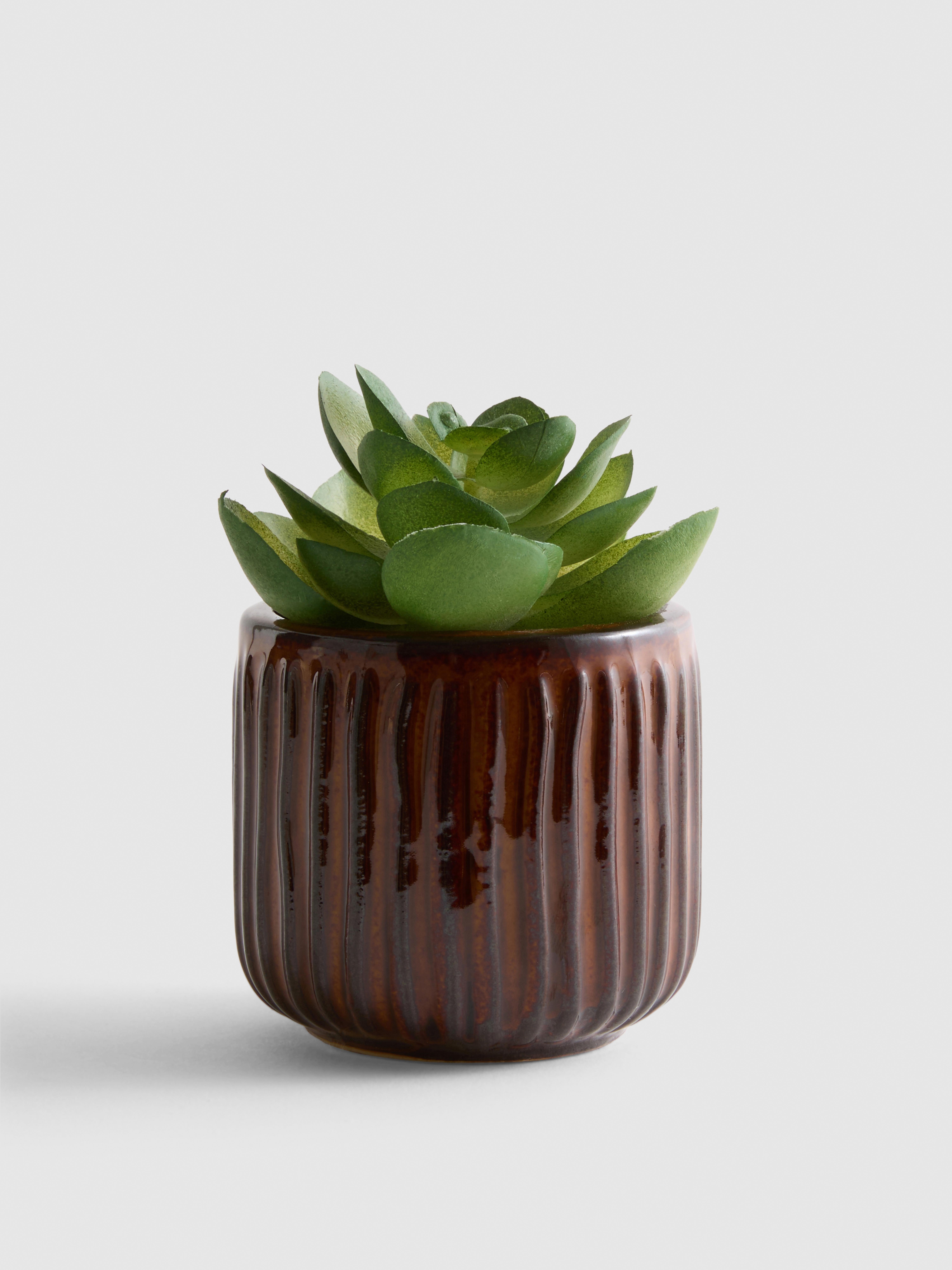 Artificial Succulent Plant In Ribbed Pot