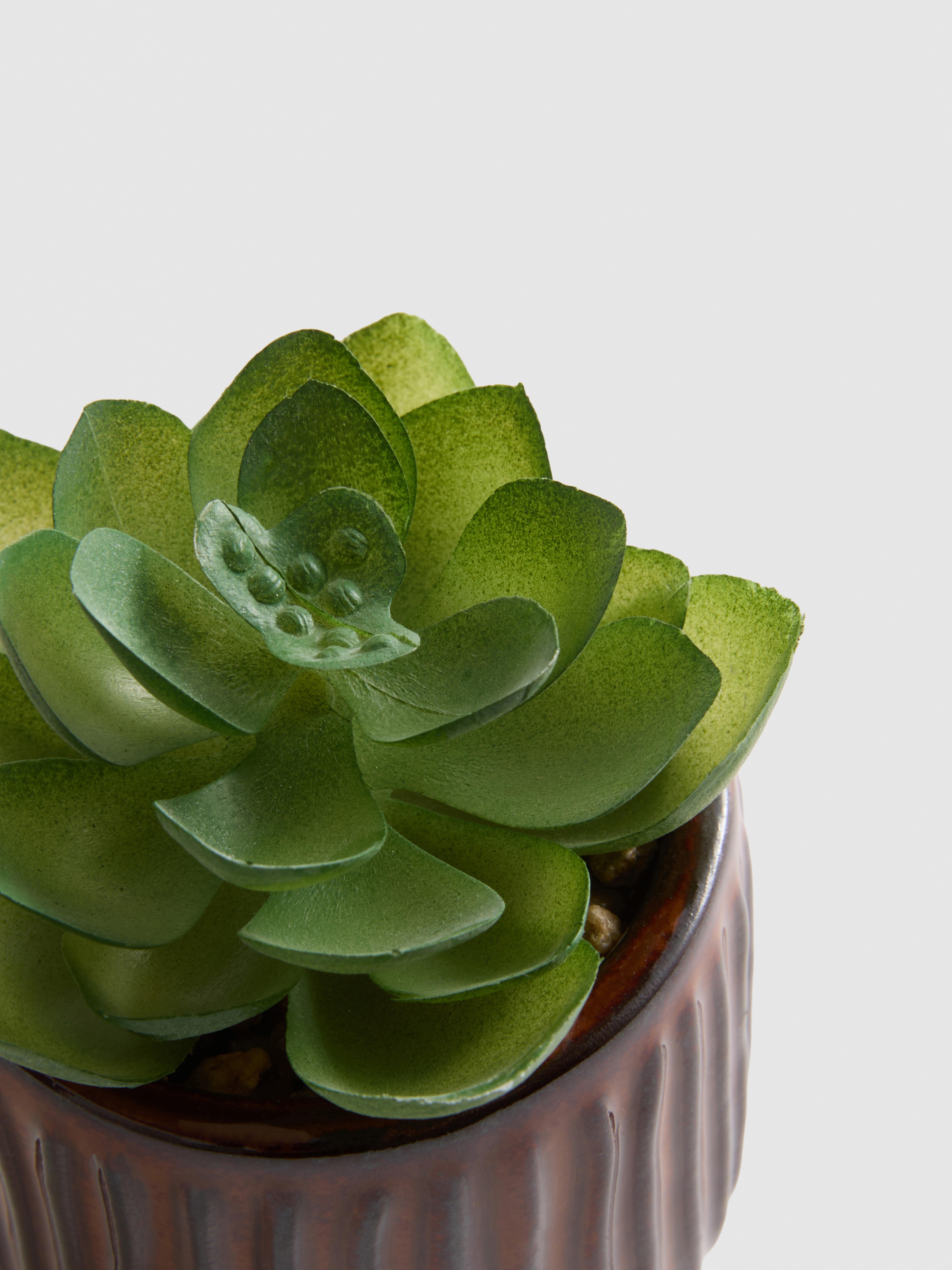 Artificial Succulent Plant In Ribbed Pot