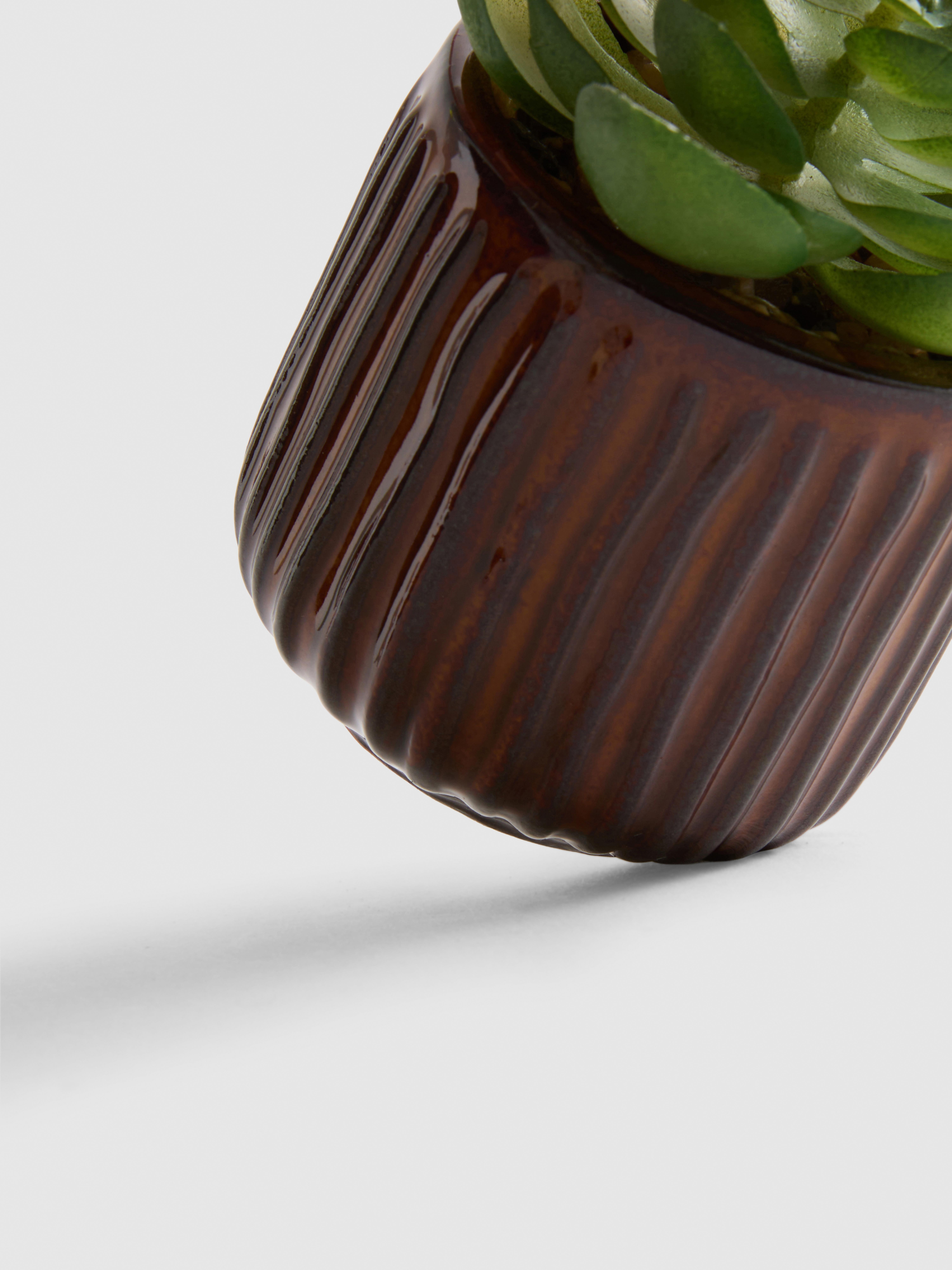 Artificial Succulent Plant In Ribbed Pot