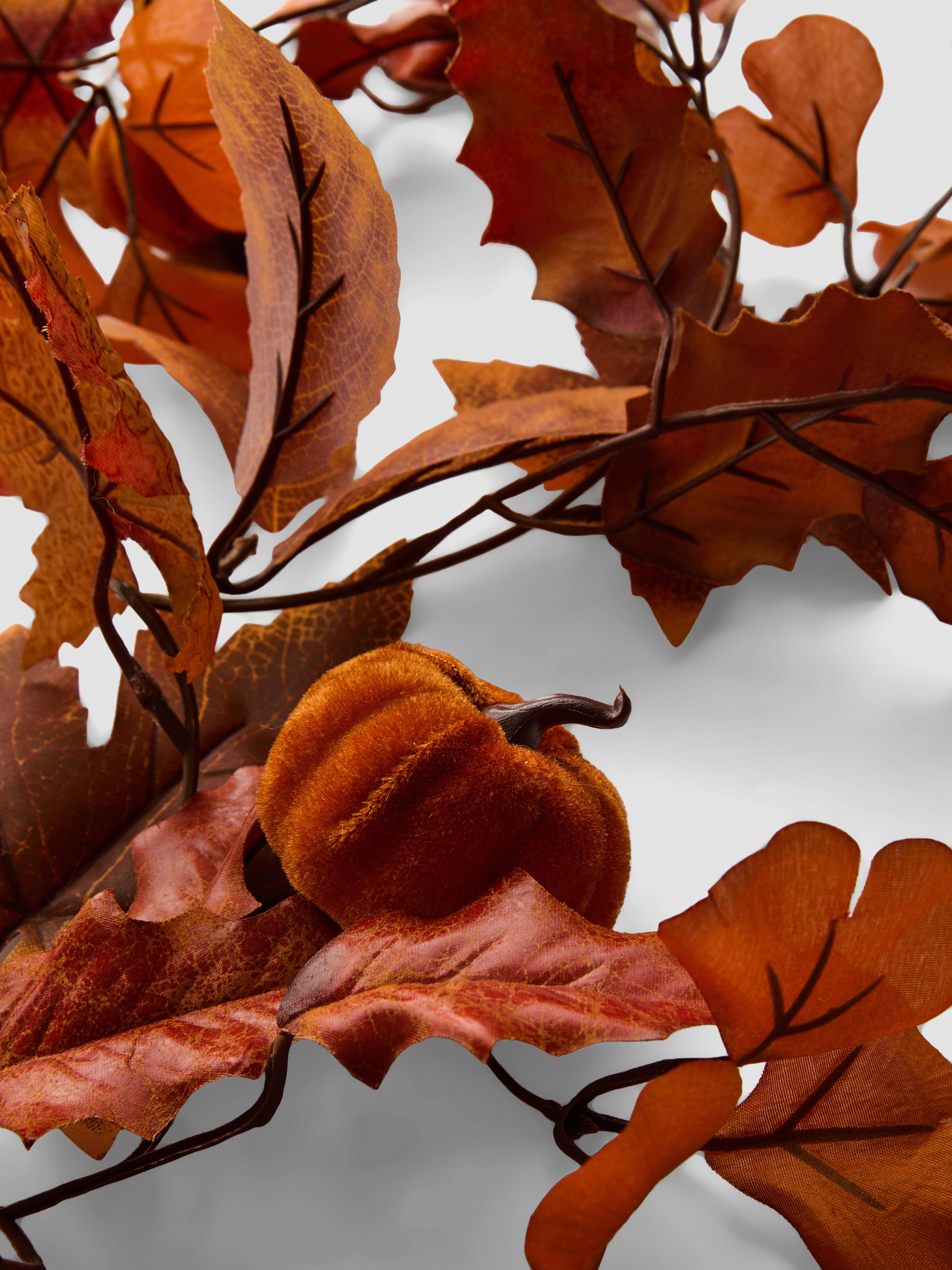 Slinger met herfstbladeren