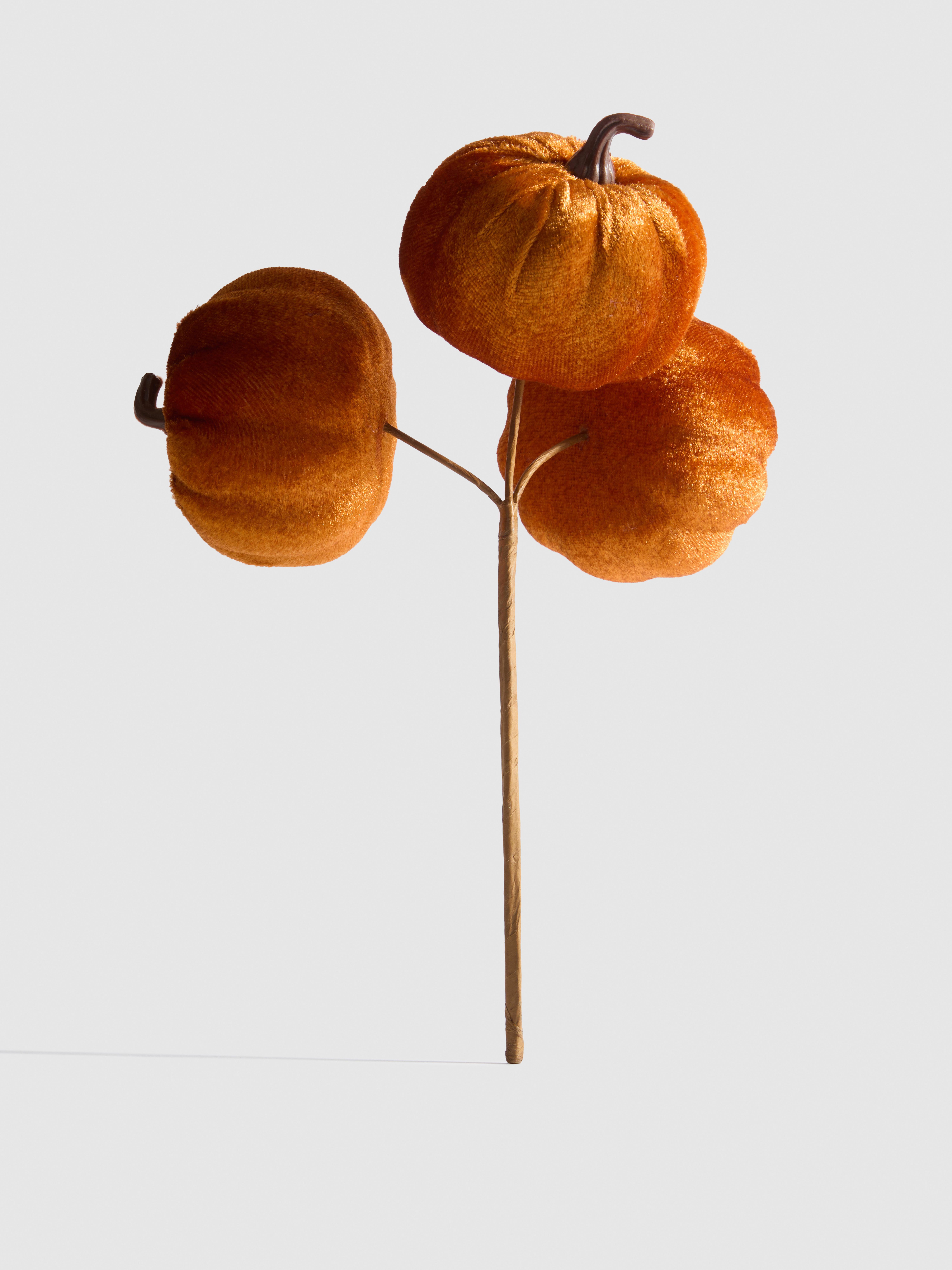 Steel met decoratieve imitatiepompoenen