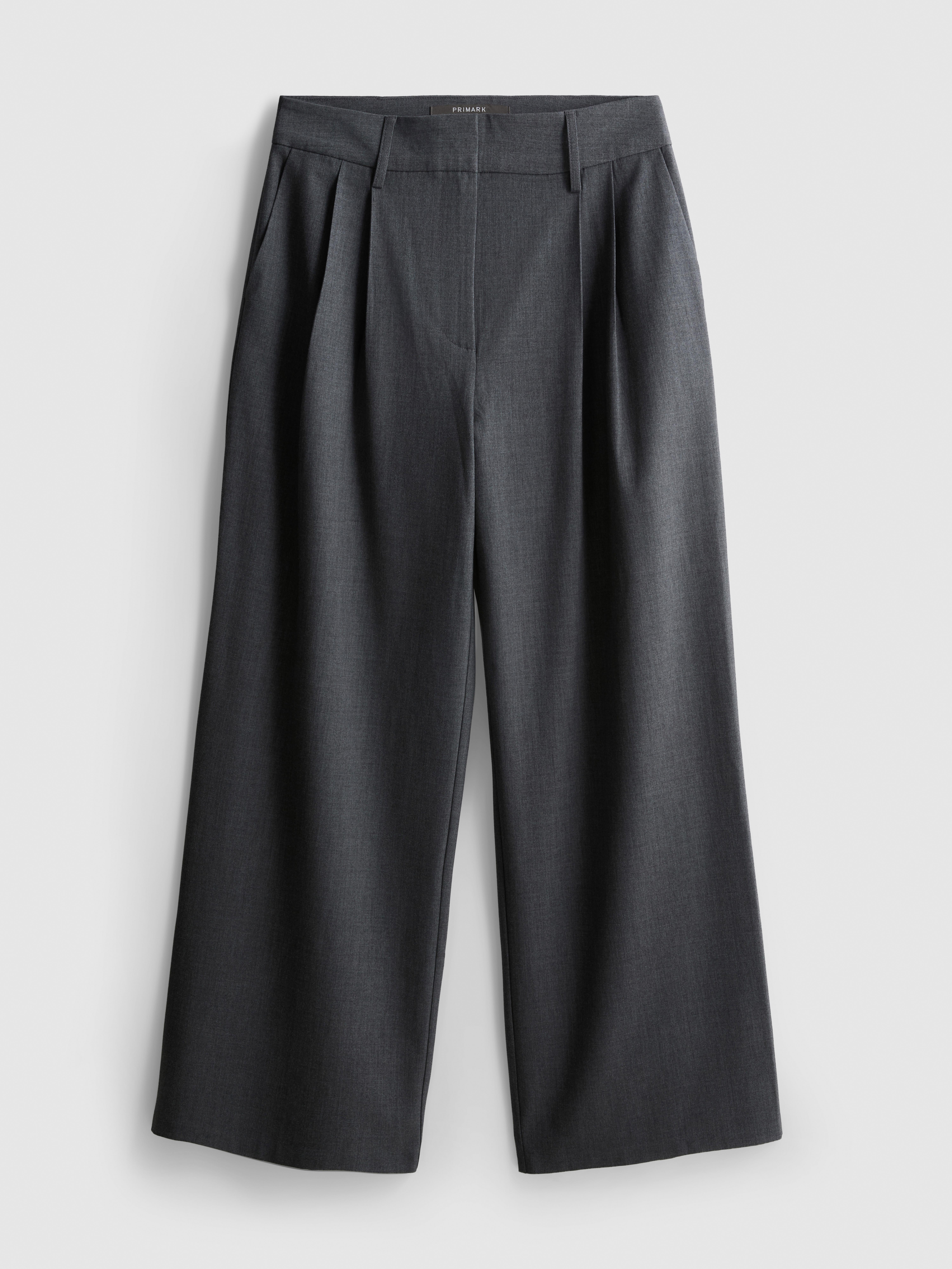 Paula Echevarría Wide Leg Pleated Pants