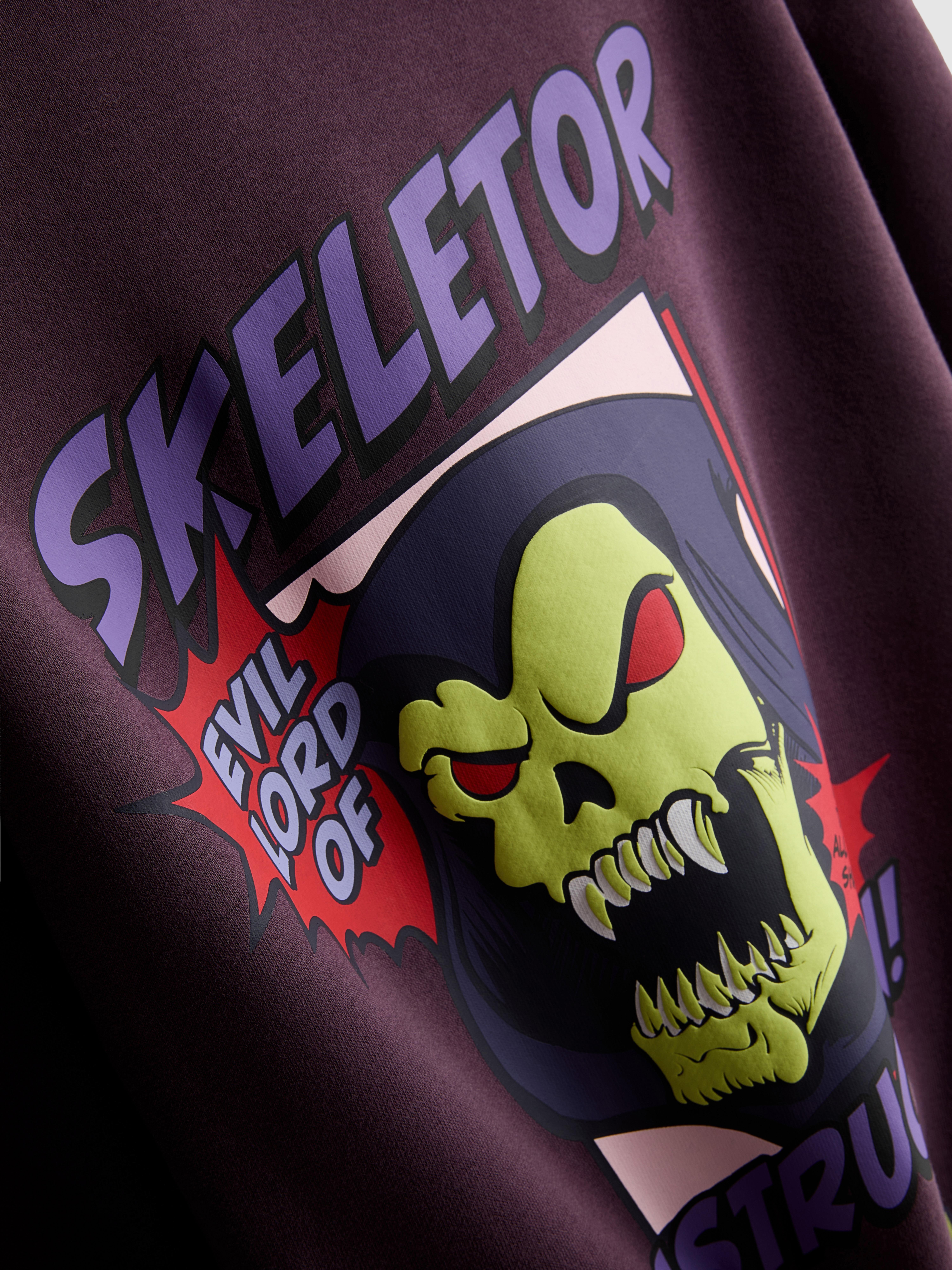 7-15 jr | Hoodie Masters of the Universe