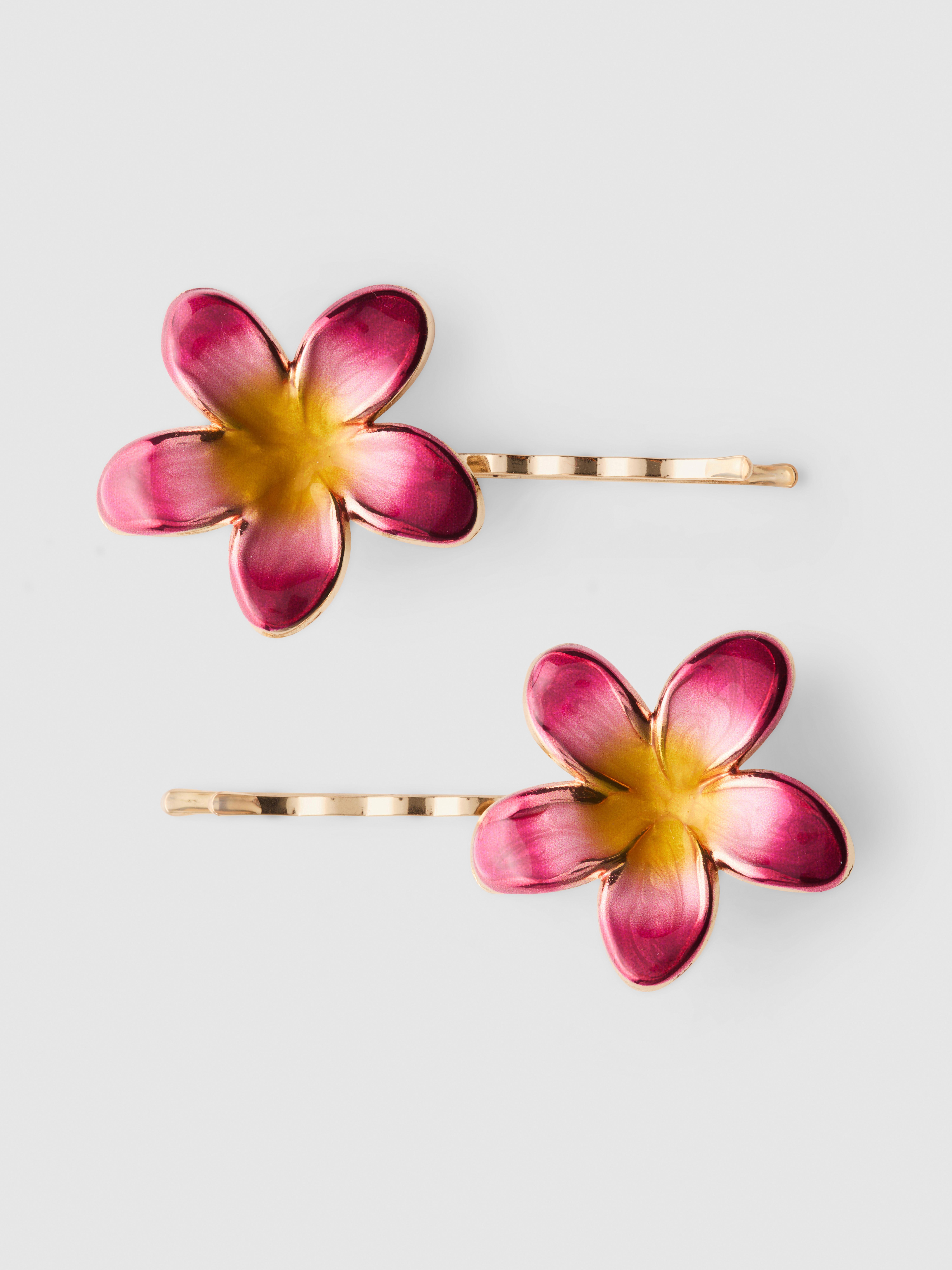 2pk Floral Hair Slides