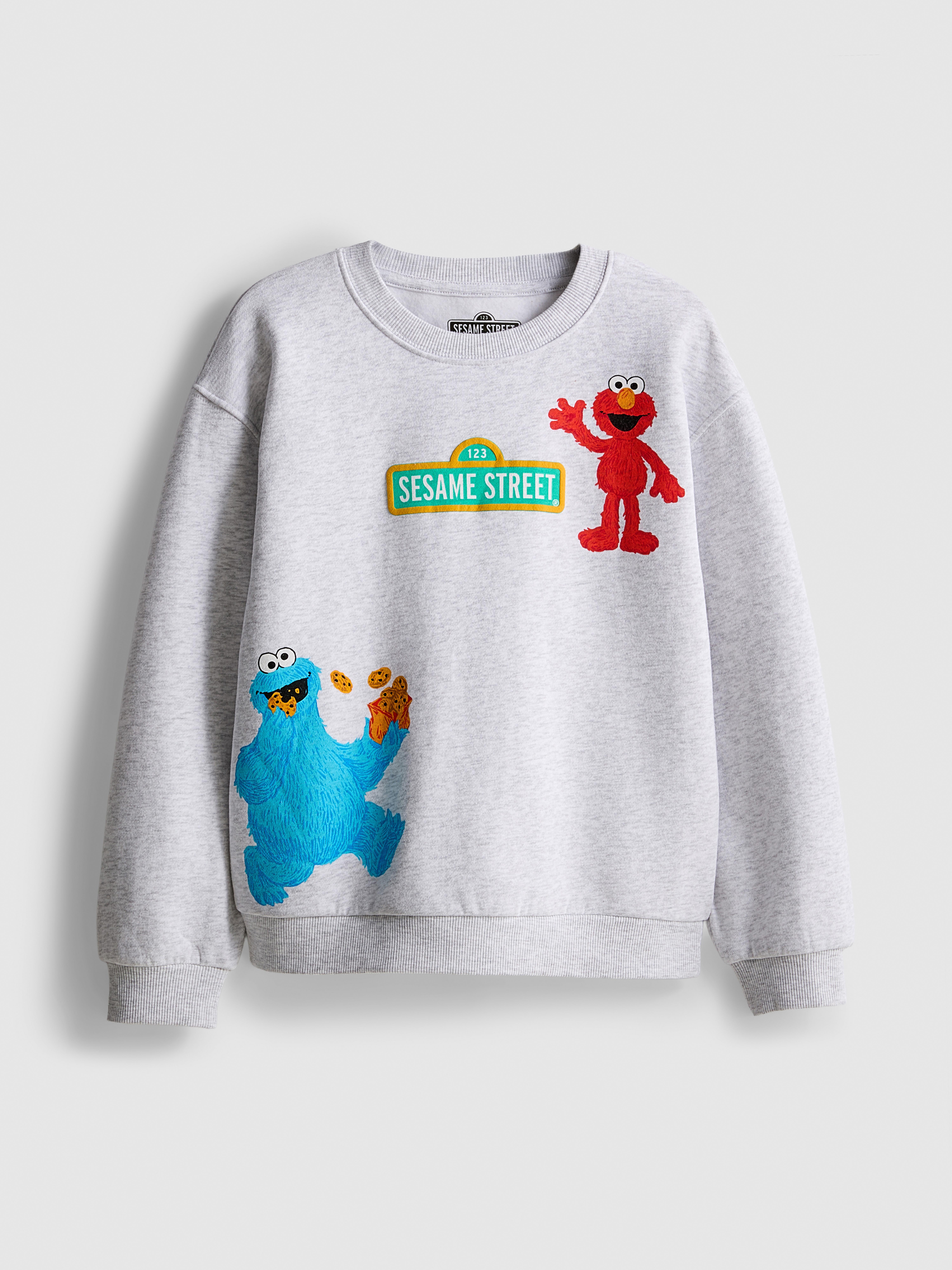 1-9yrs | Sesame Street Character Sweatshirt