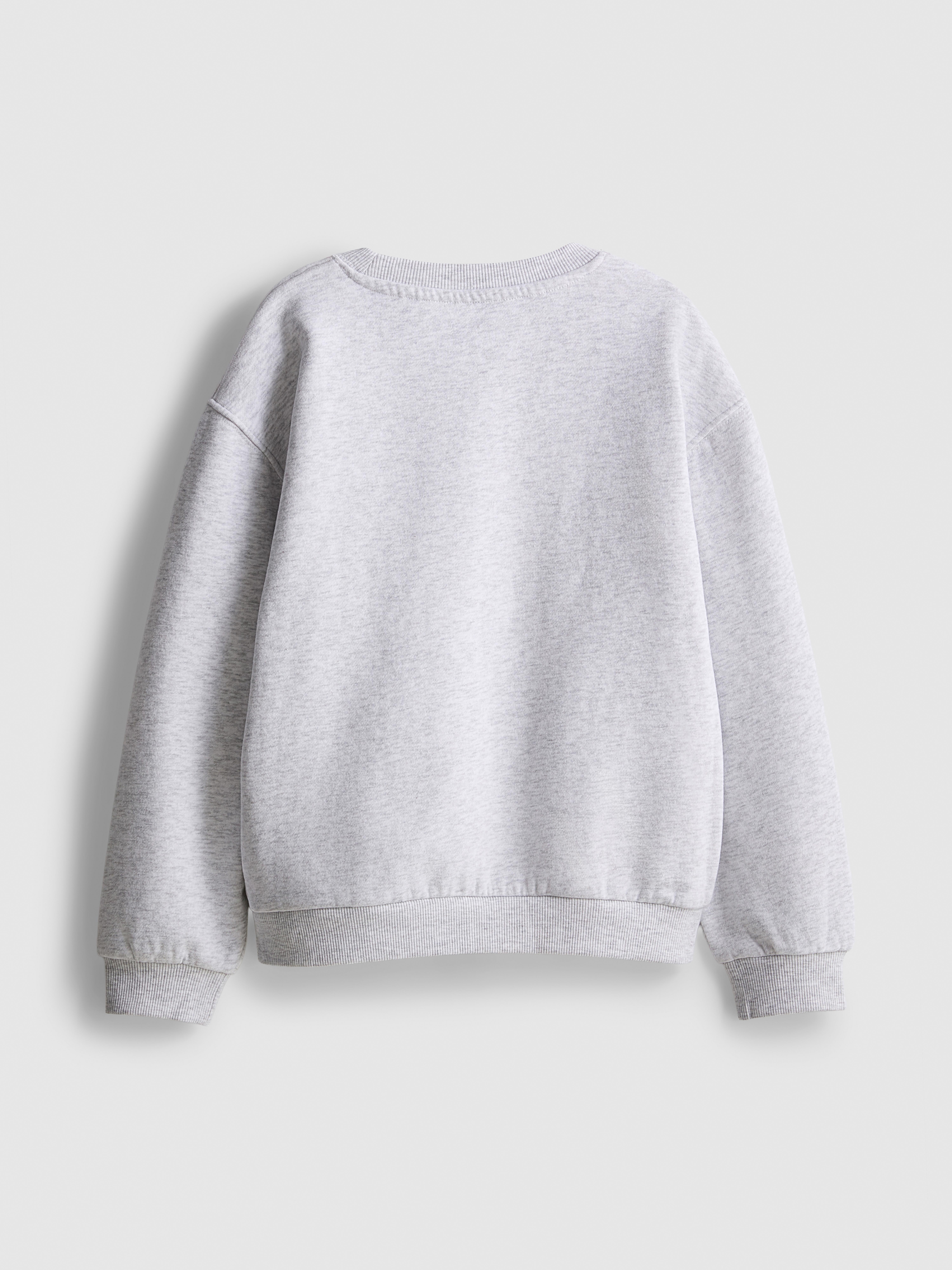 1-9yrs | Sesame Street Character Sweatshirt