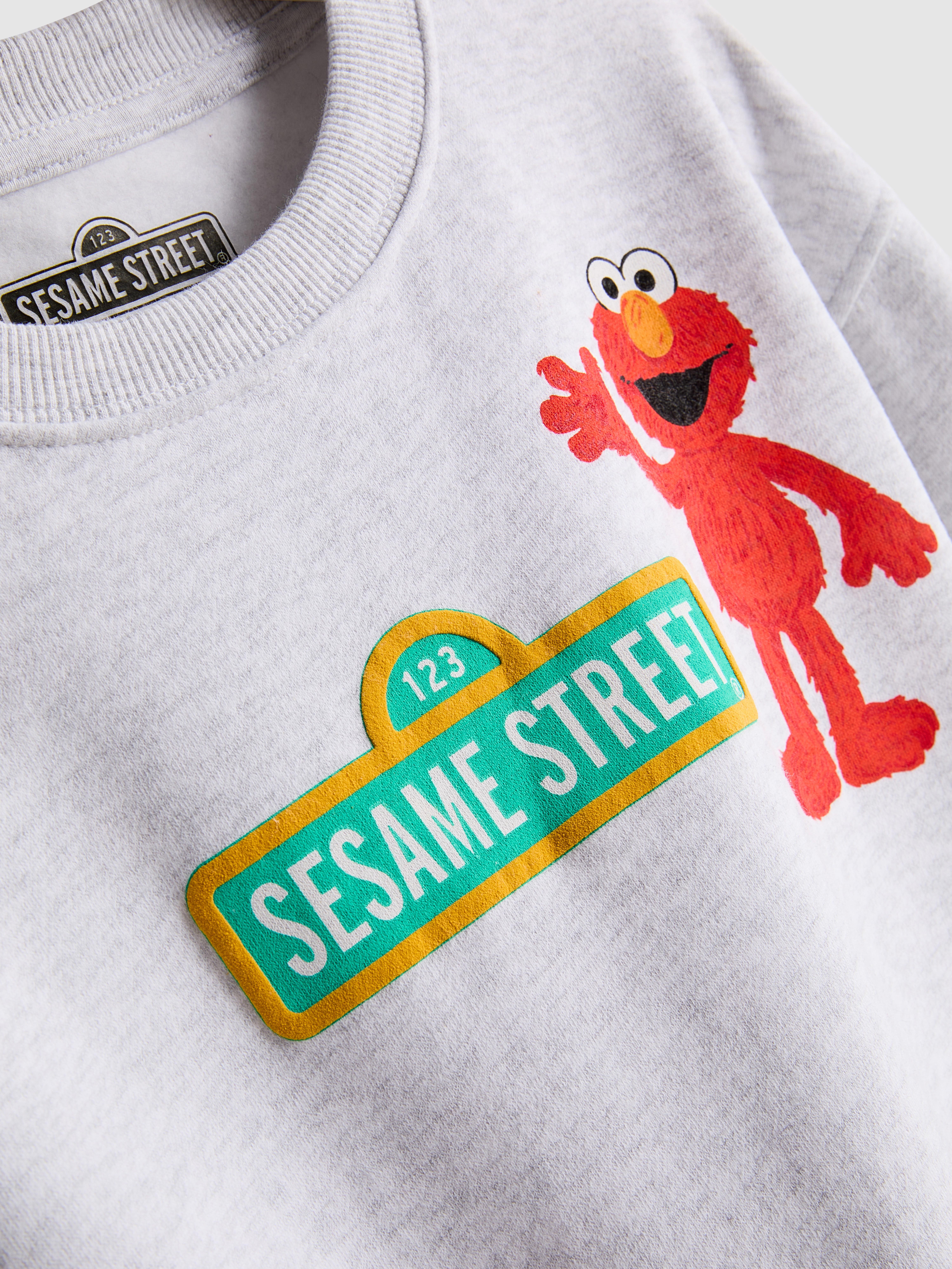 1-9yrs | Sesame Street Character Sweatshirt