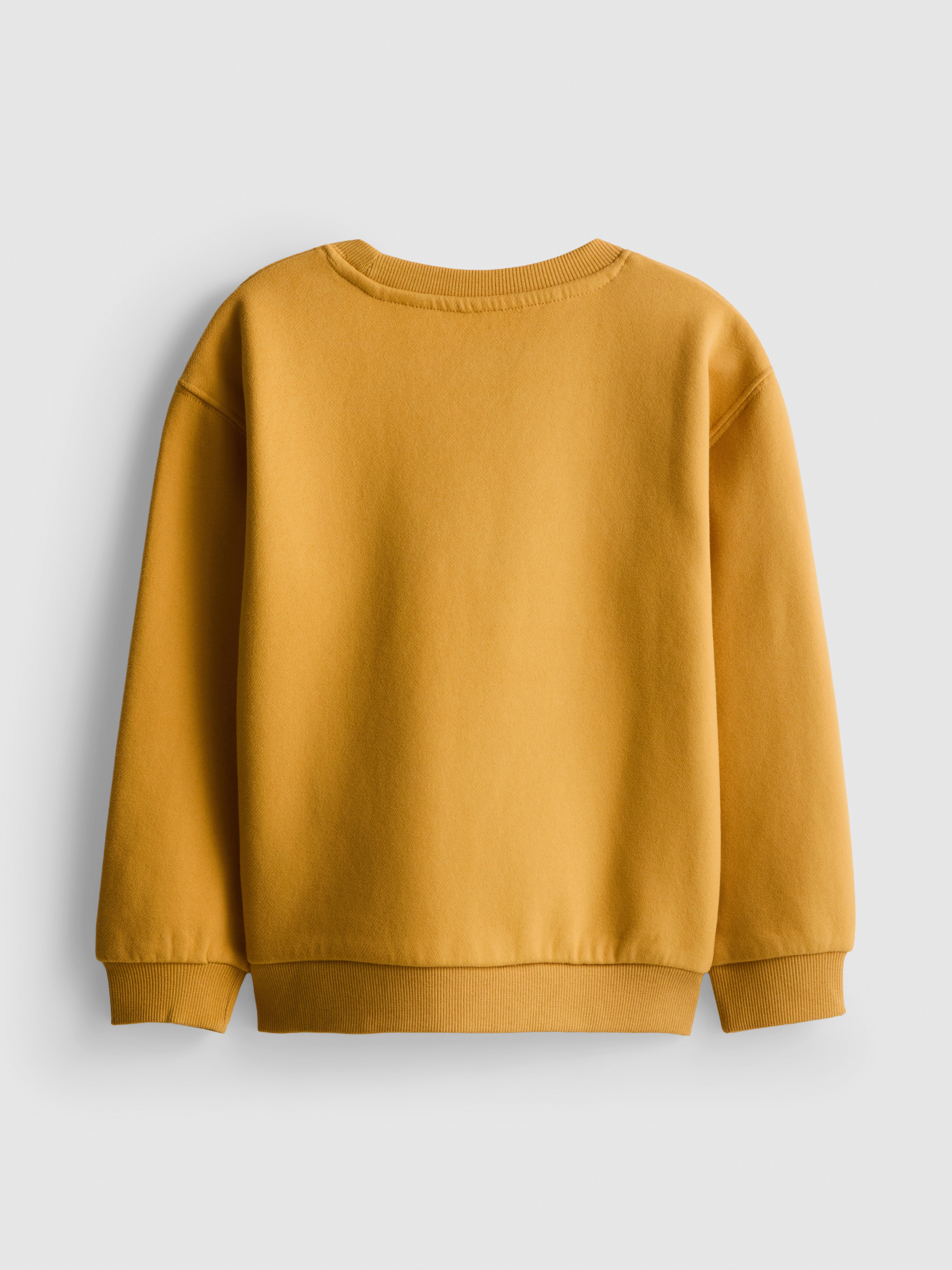 3-9yrs | Pokémon Sweatshirt