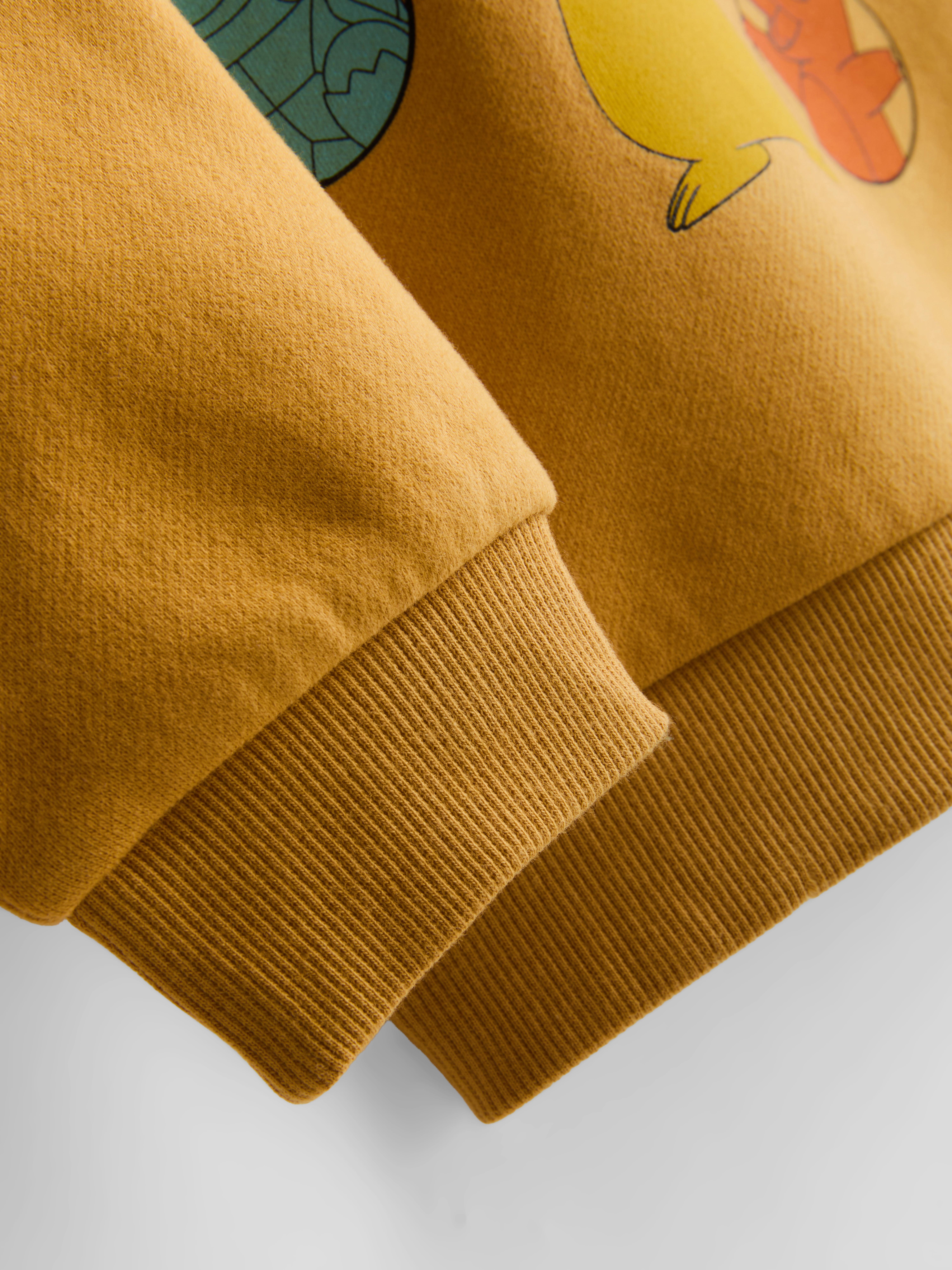 3-9yrs | Pokémon Sweatshirt