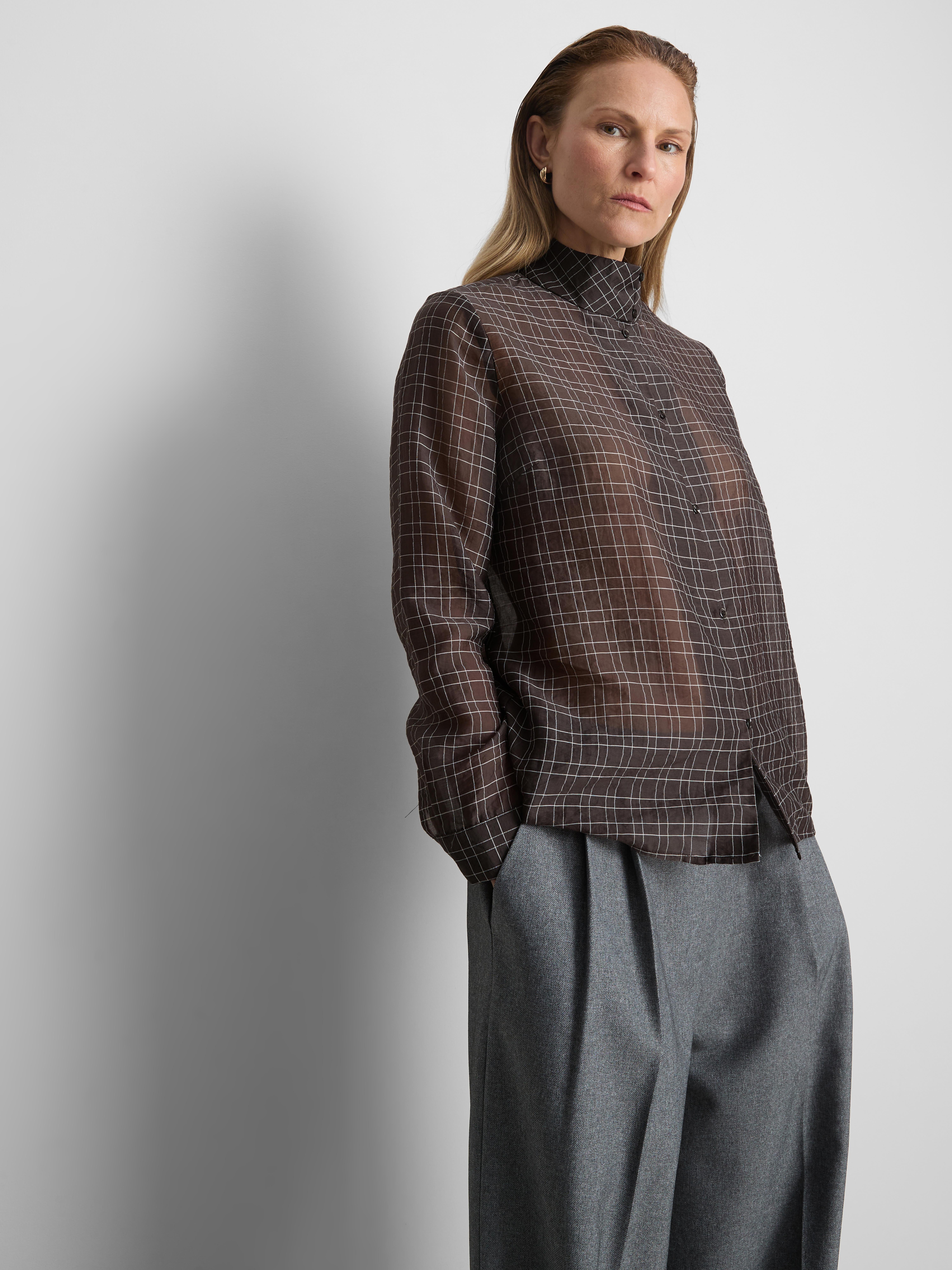 Semi-Sheer Check Blouse