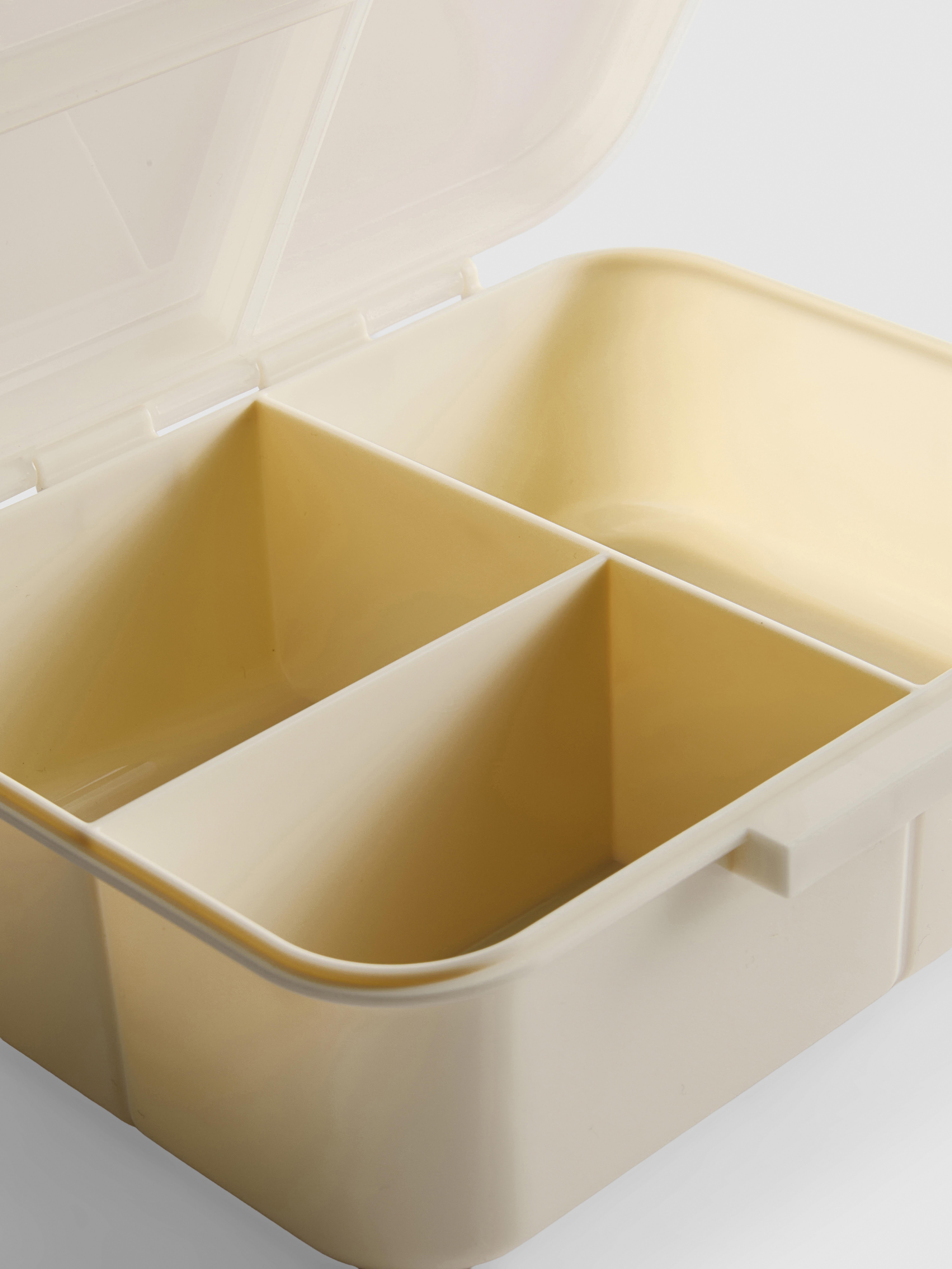 Bento Style Lunch Boxe