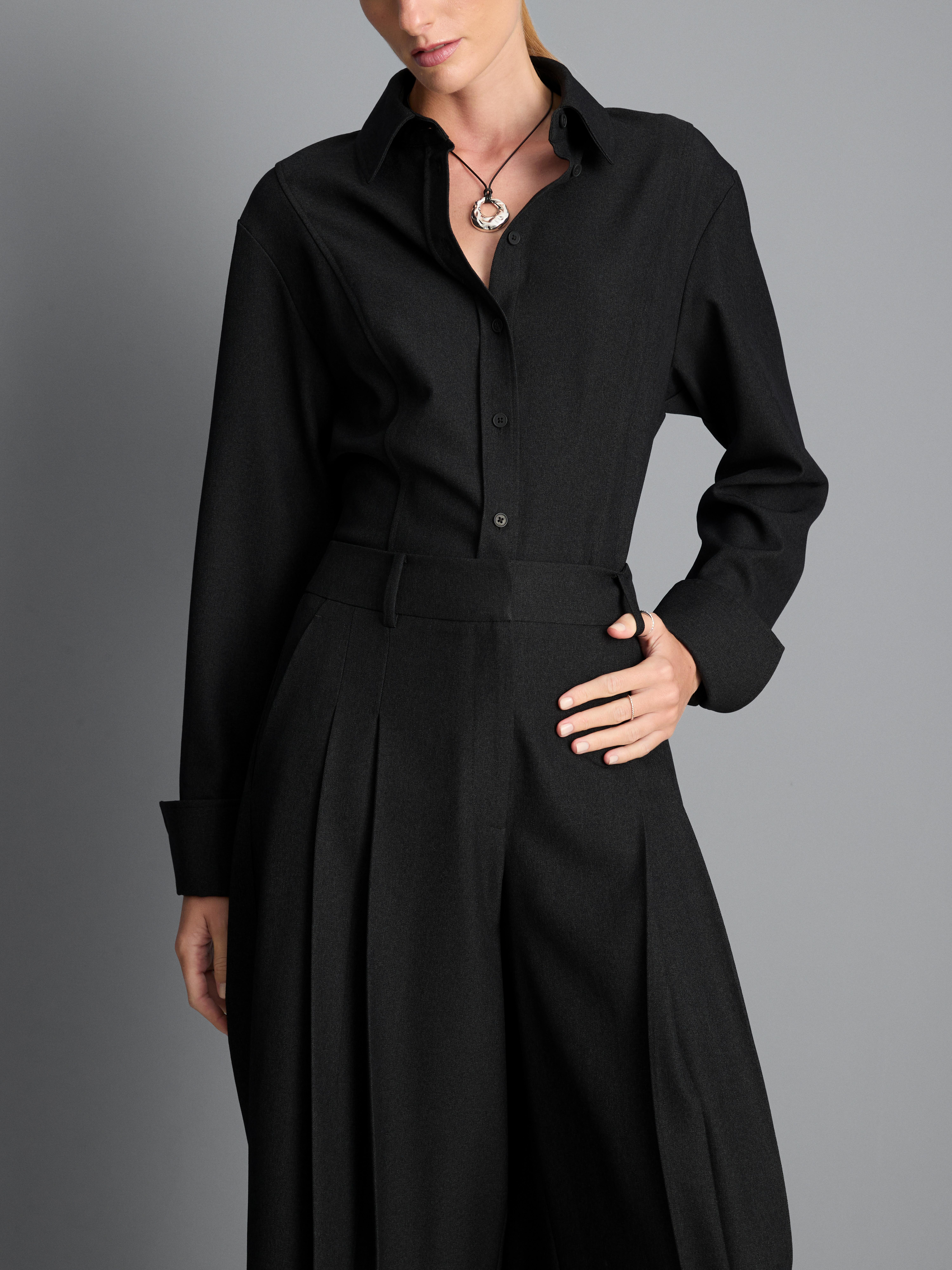 Pleated Culotte Pants