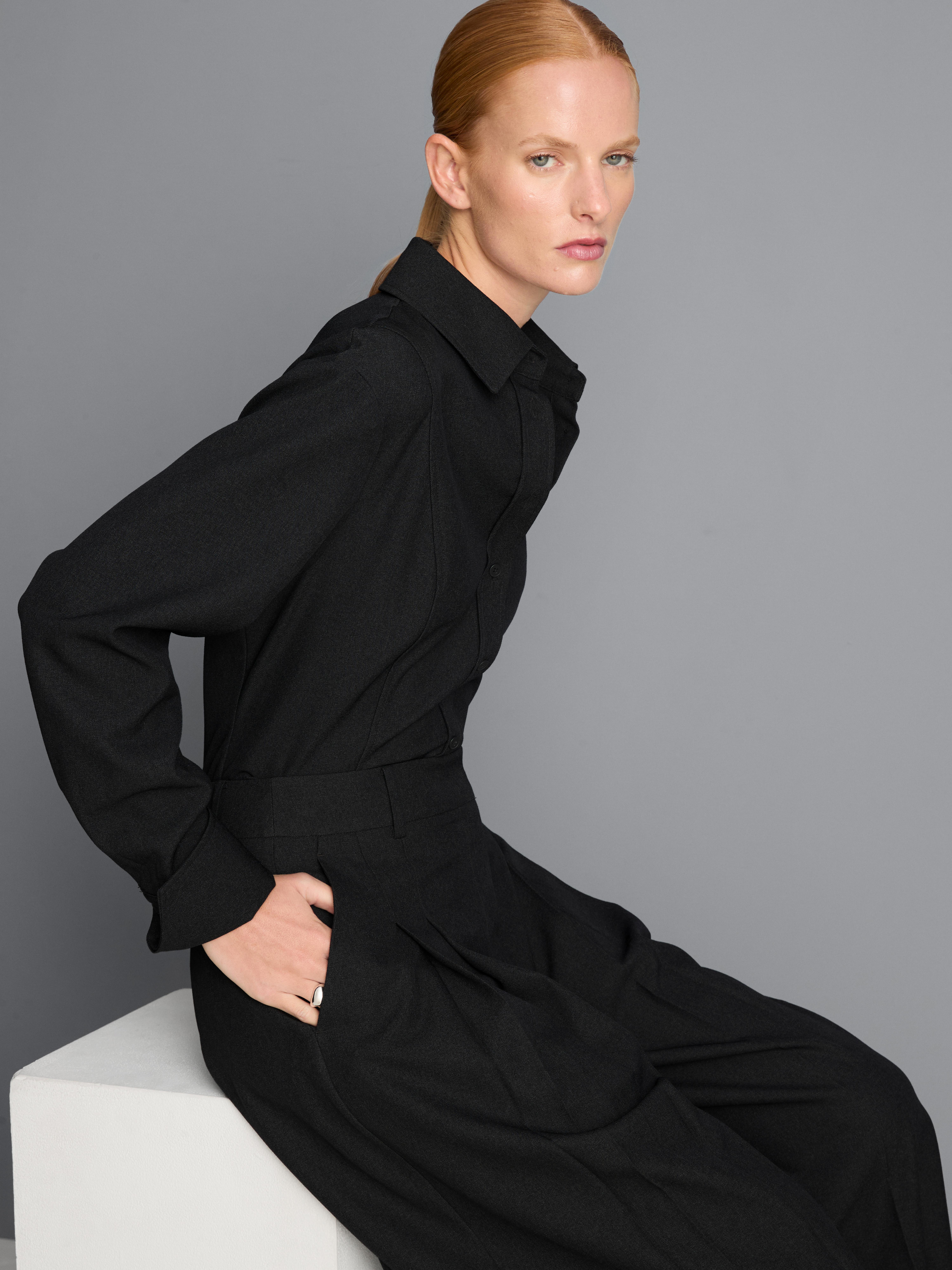 Pleated Culotte Pants