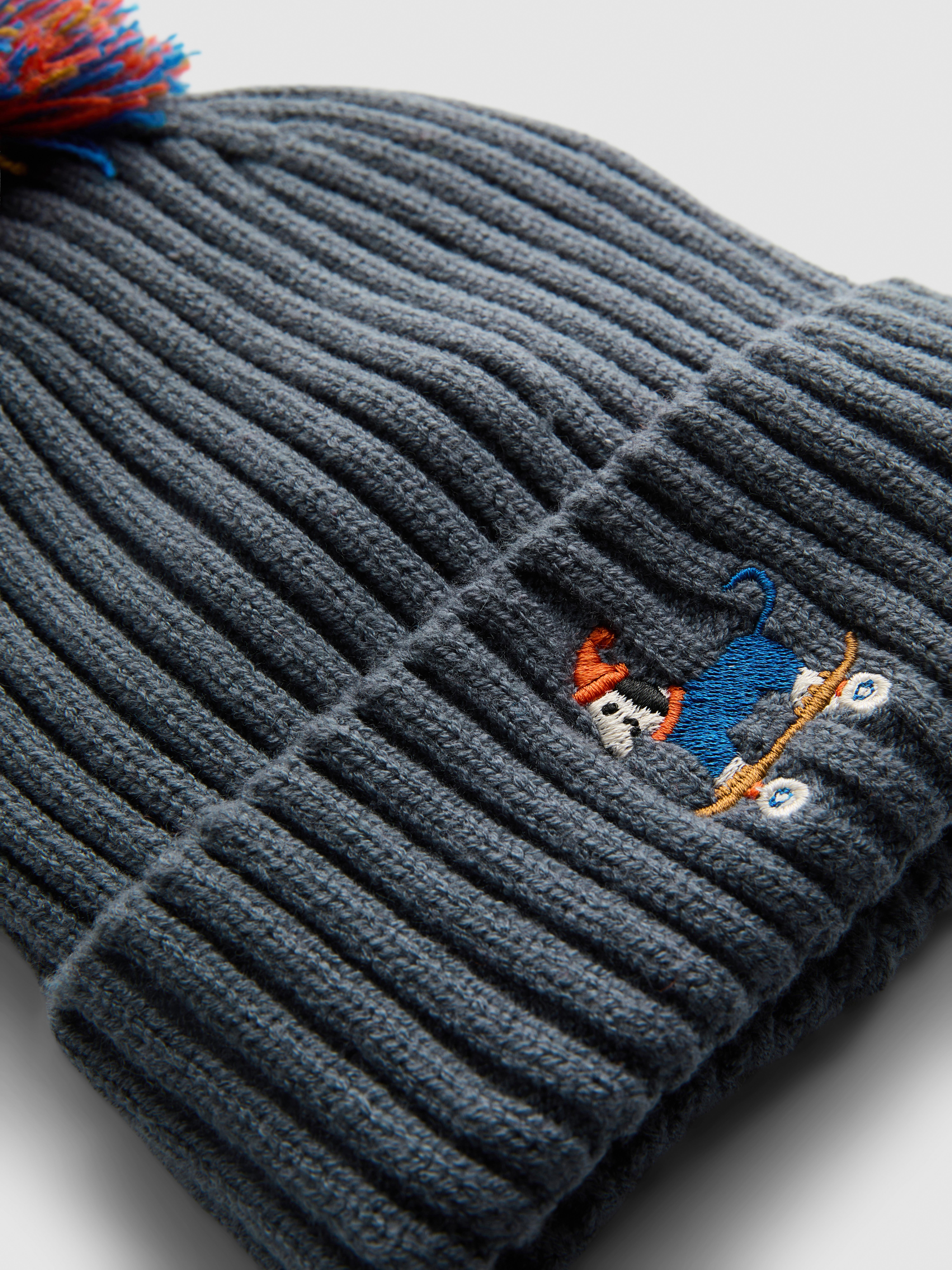 Dog Embroidered Pom Beanie