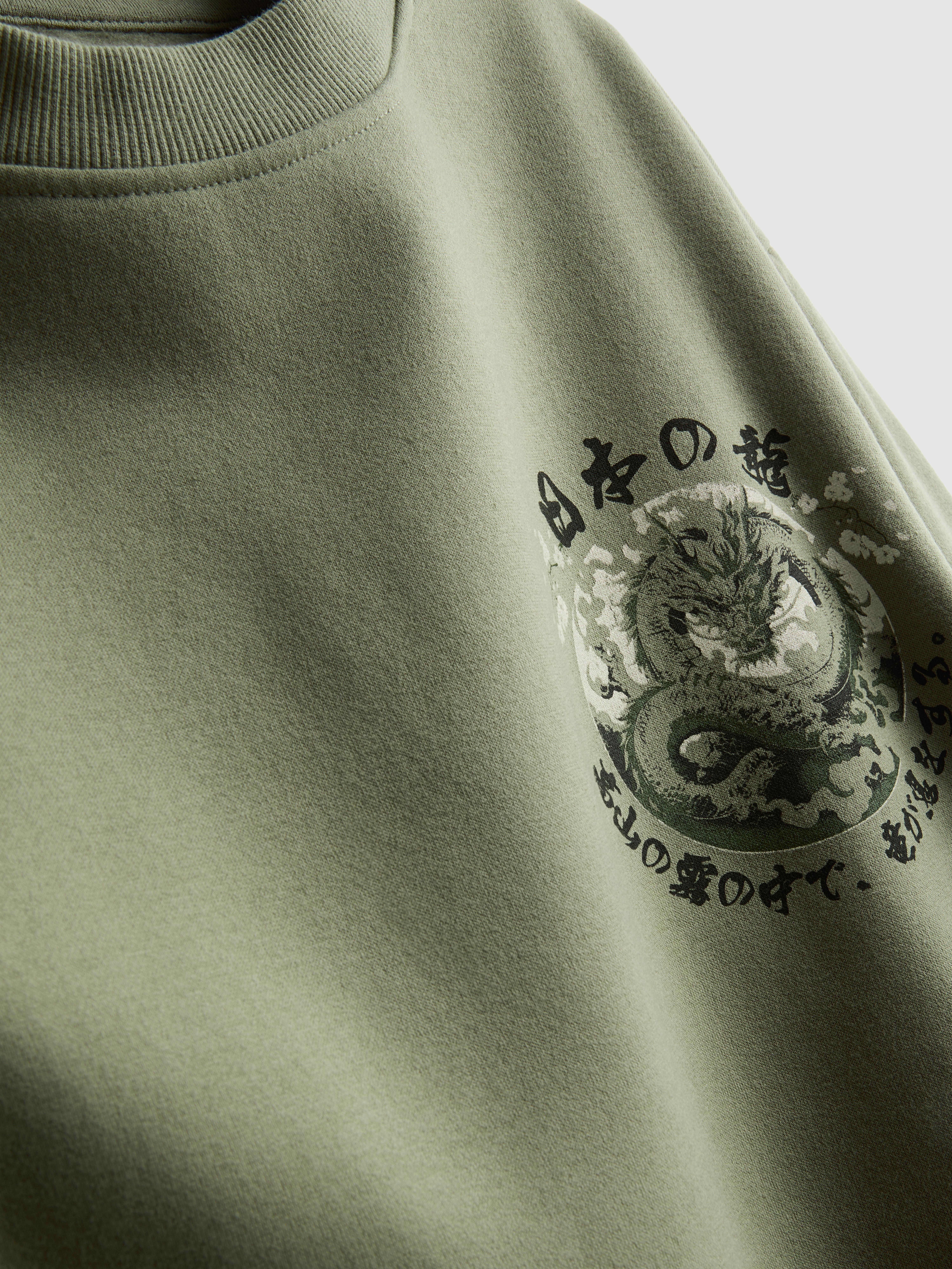 Sweat-shirt en mélange de coton à motif dragon