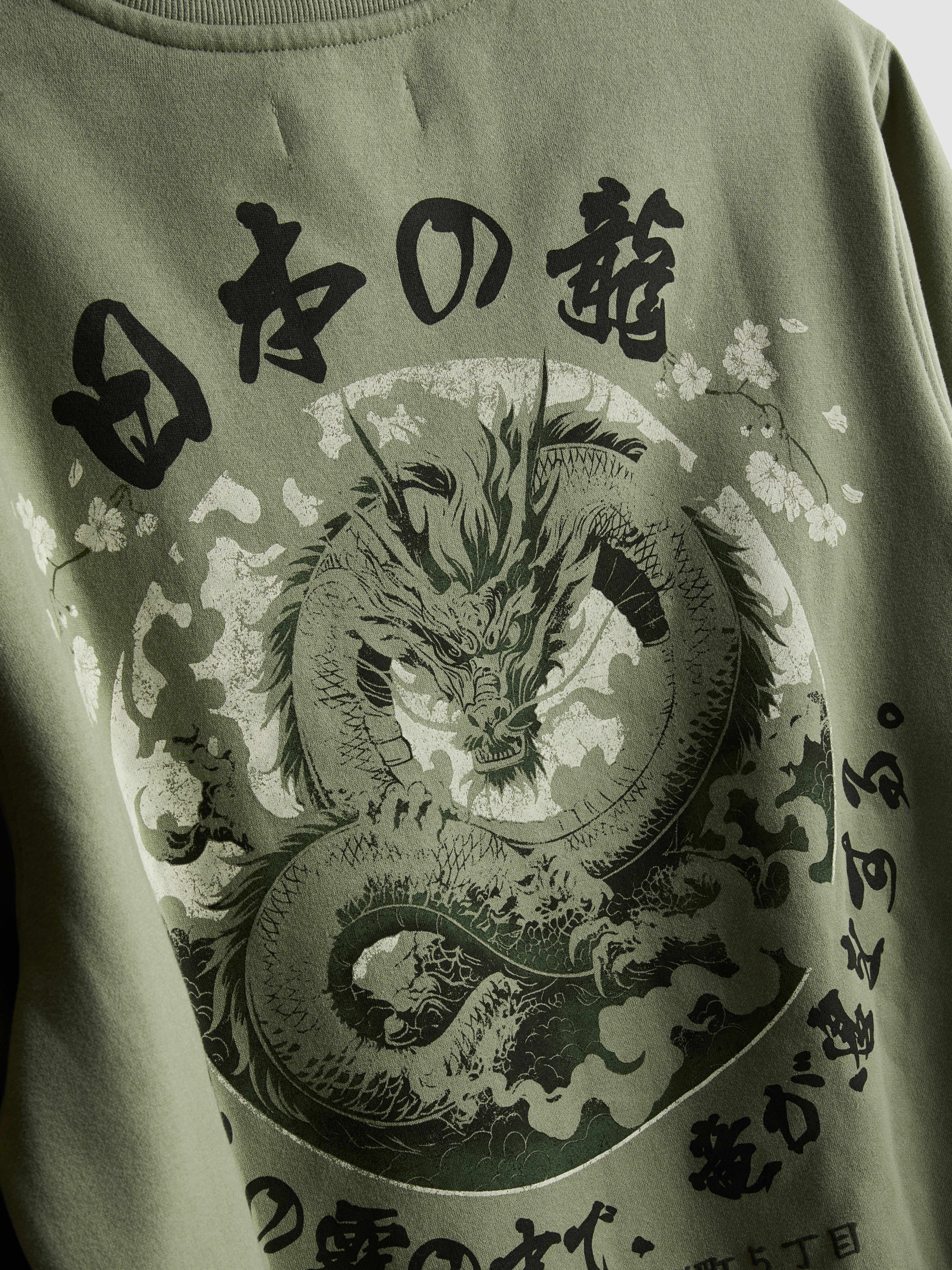 Sweat-shirt en mélange de coton à motif dragon