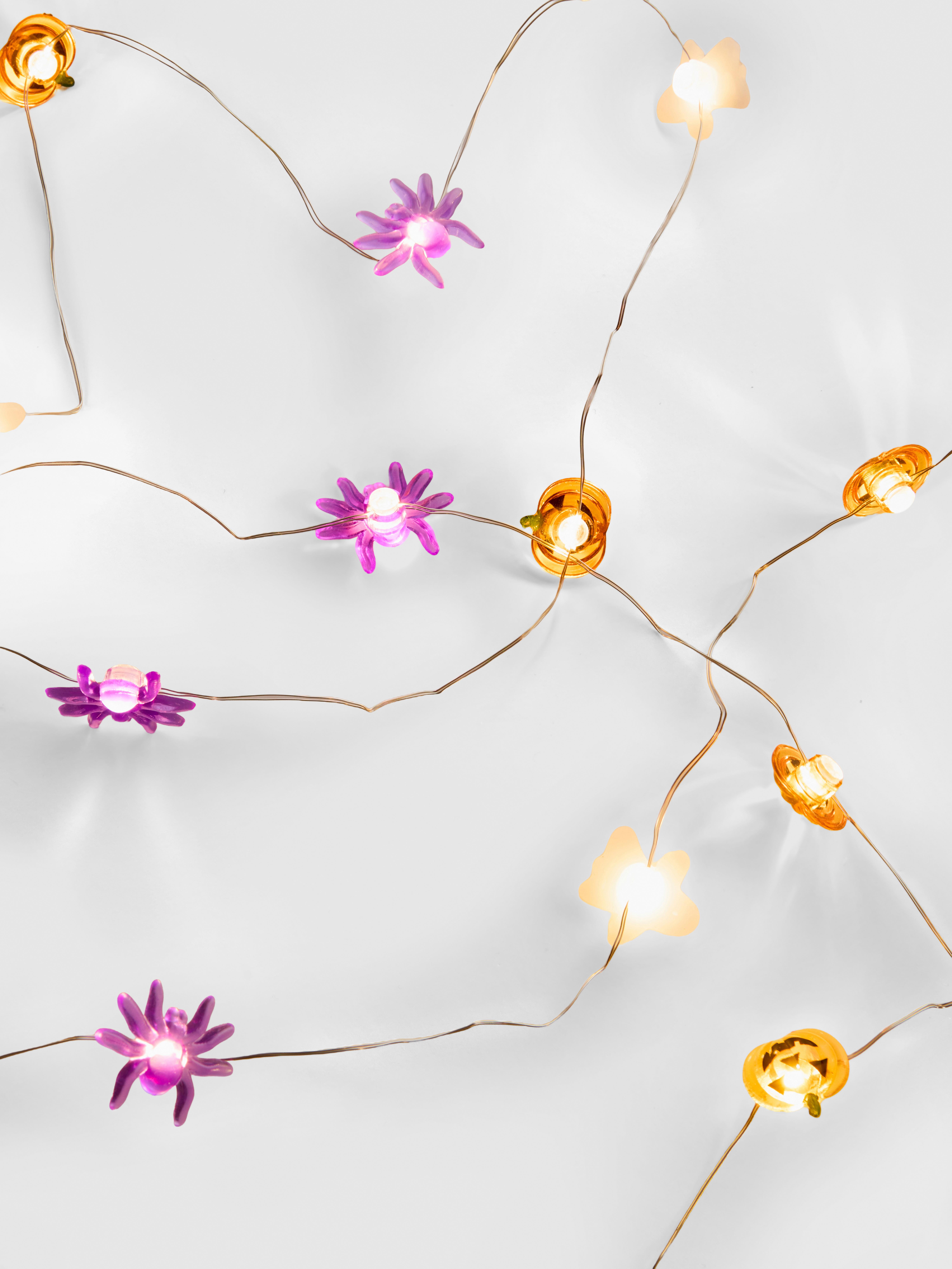 50 Bulb Halloween String Lights