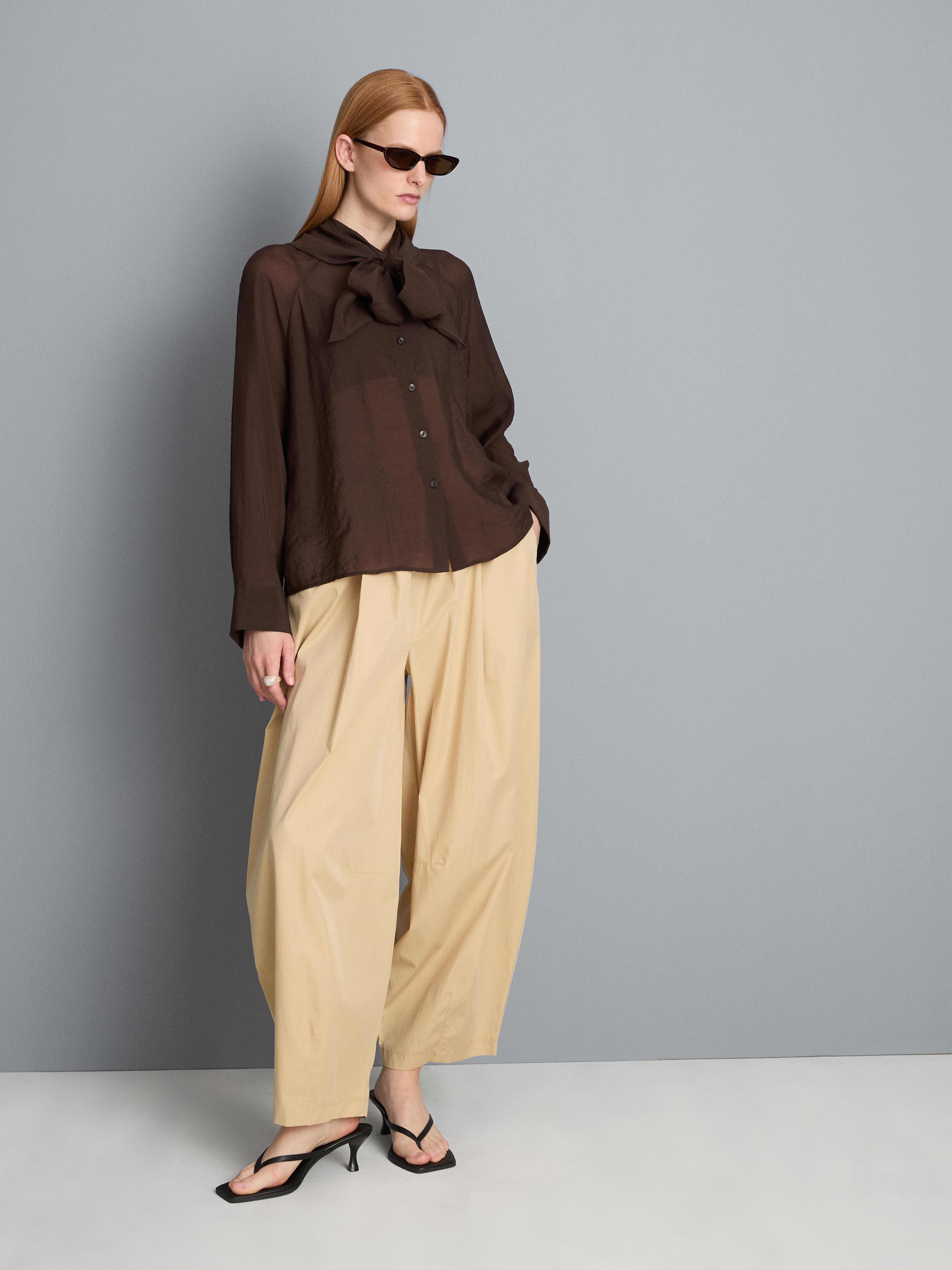 Semi-Sheer Tie Neck Blouse