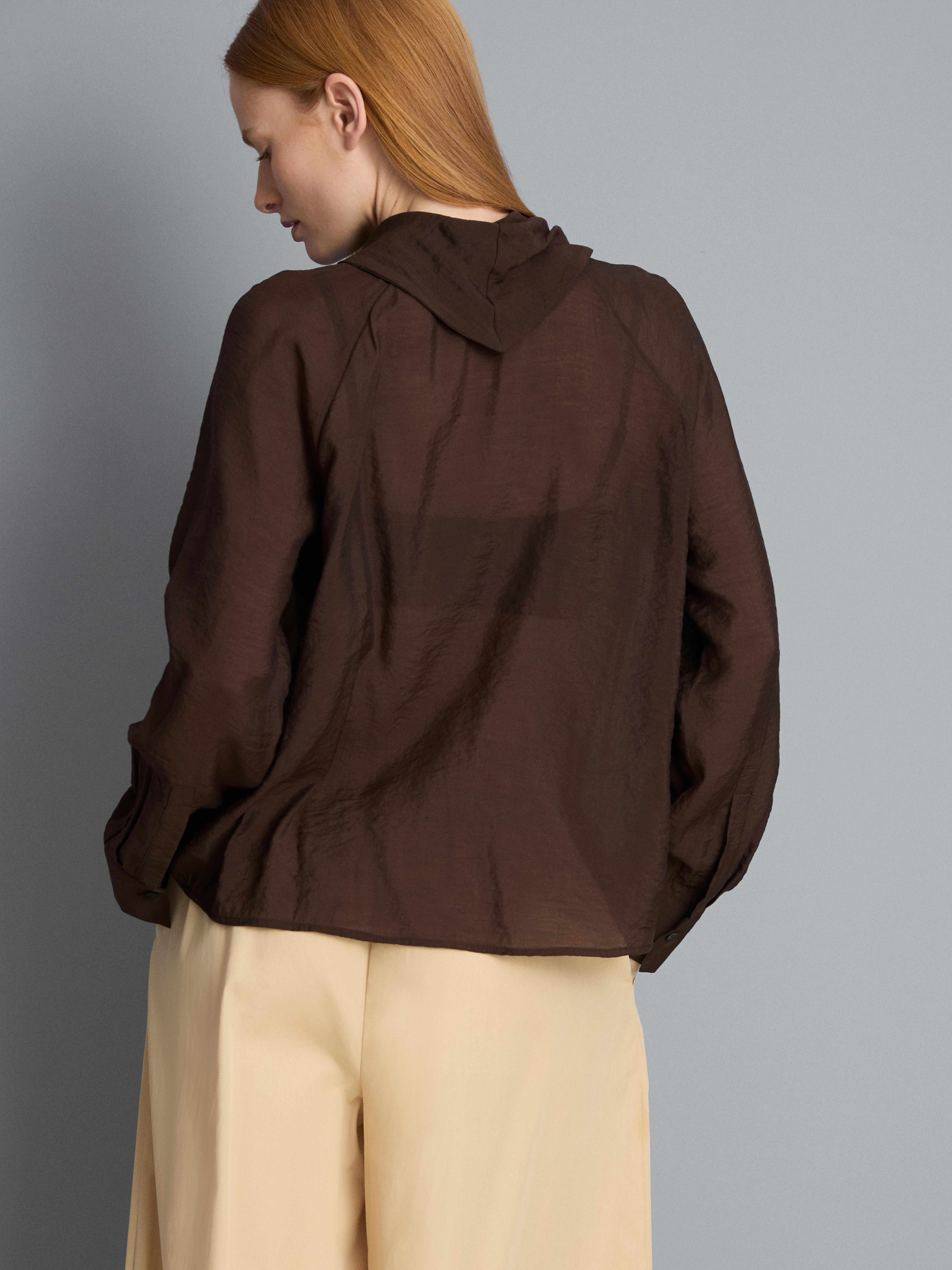 Semi-Sheer Tie Neck Blouse