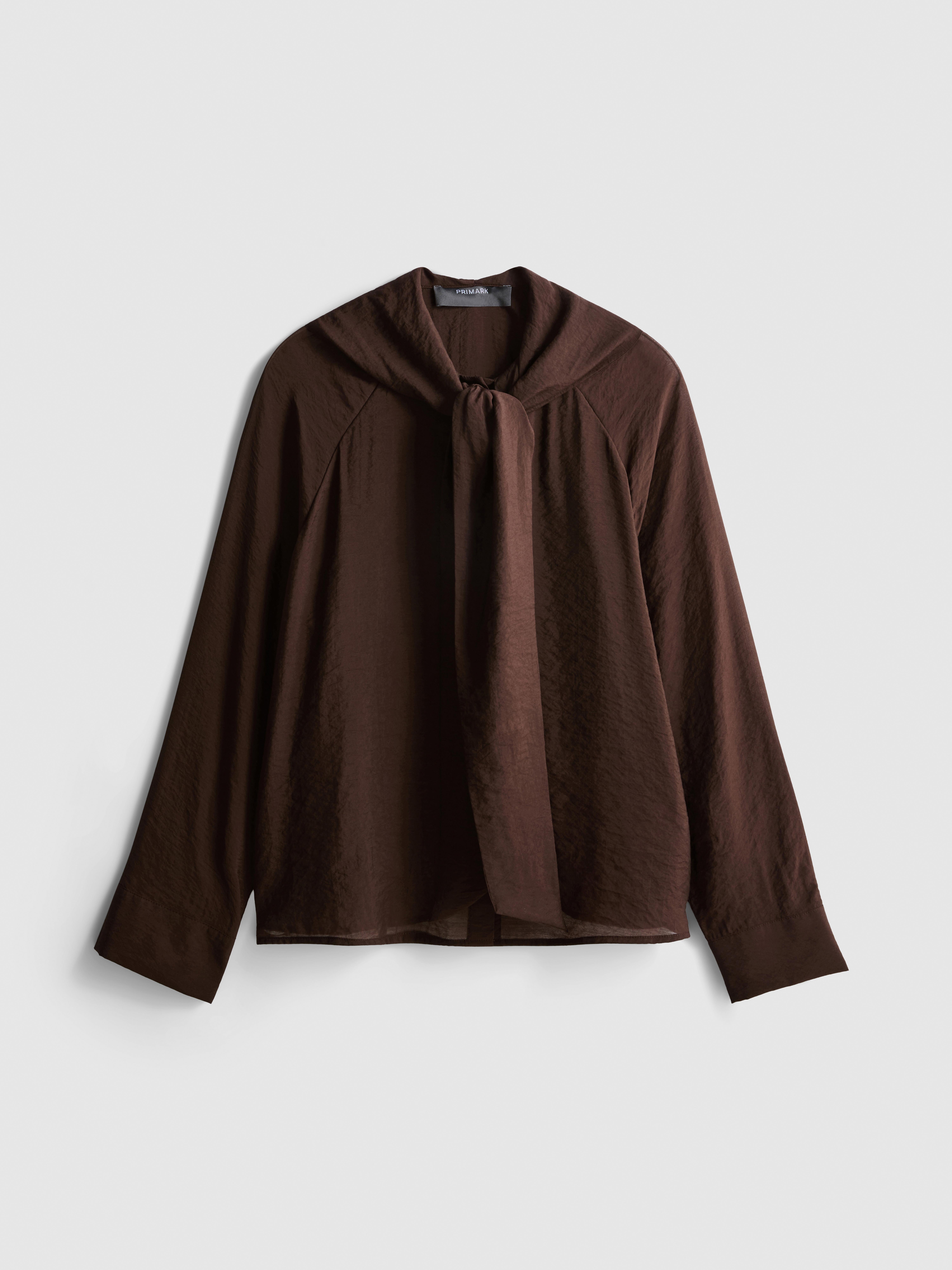 Semi-Sheer Tie Neck Blouse