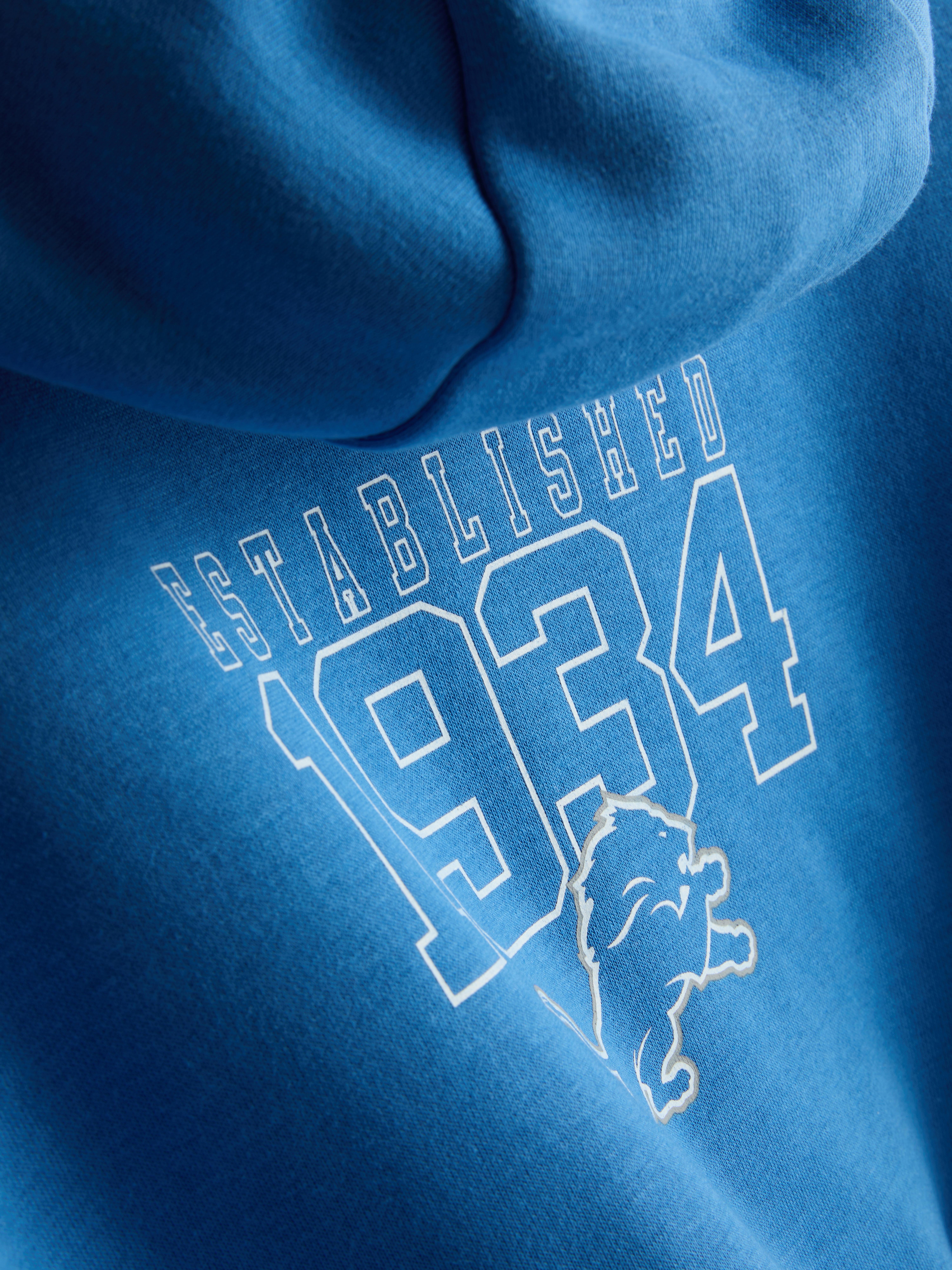 NFL Detroit Lions Cotton-Rich Hoodie