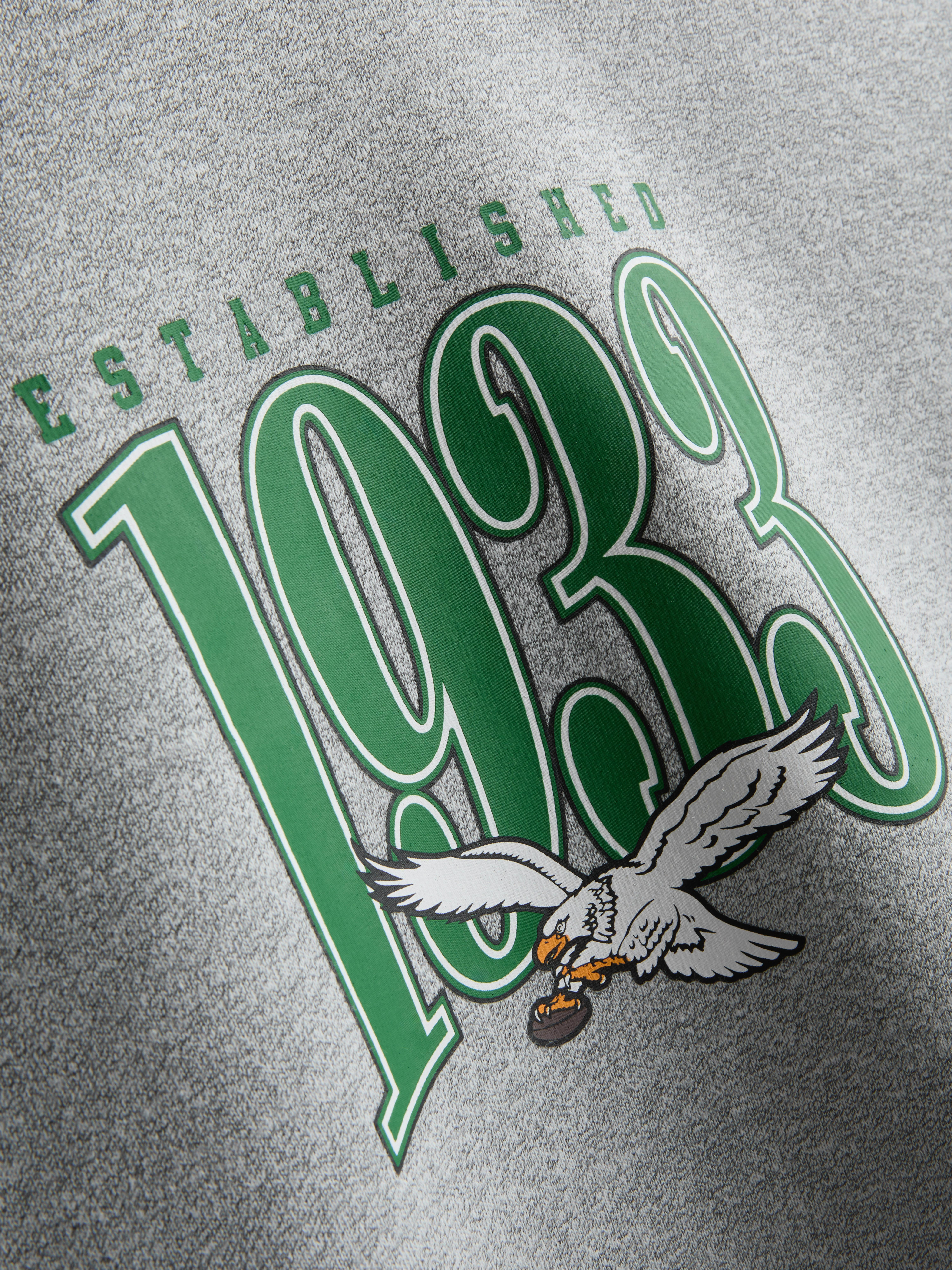 NFL Philadelphia Eagles Graphic Hoodie