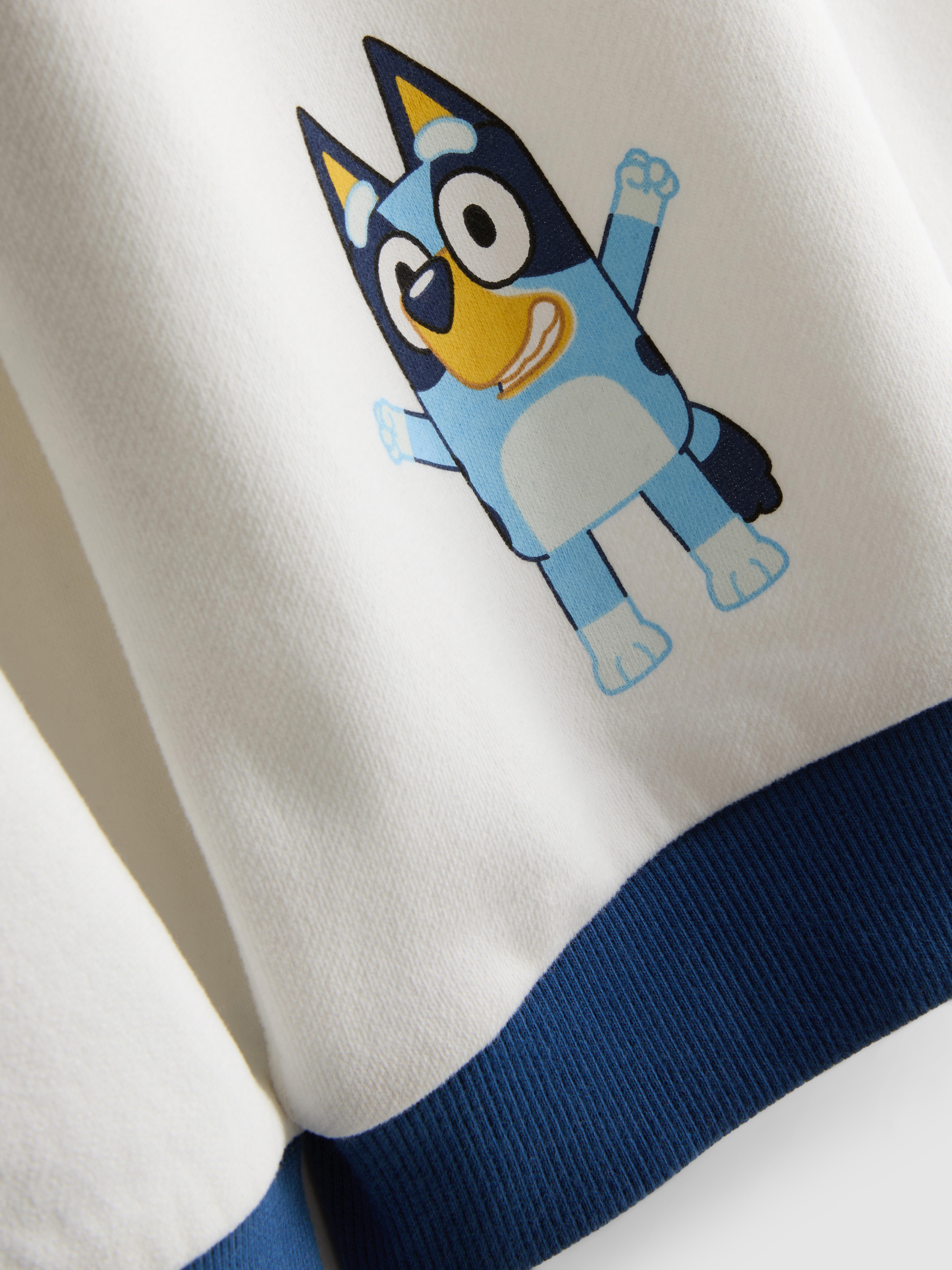 1-9yrs | Bluey Sweatshirt
