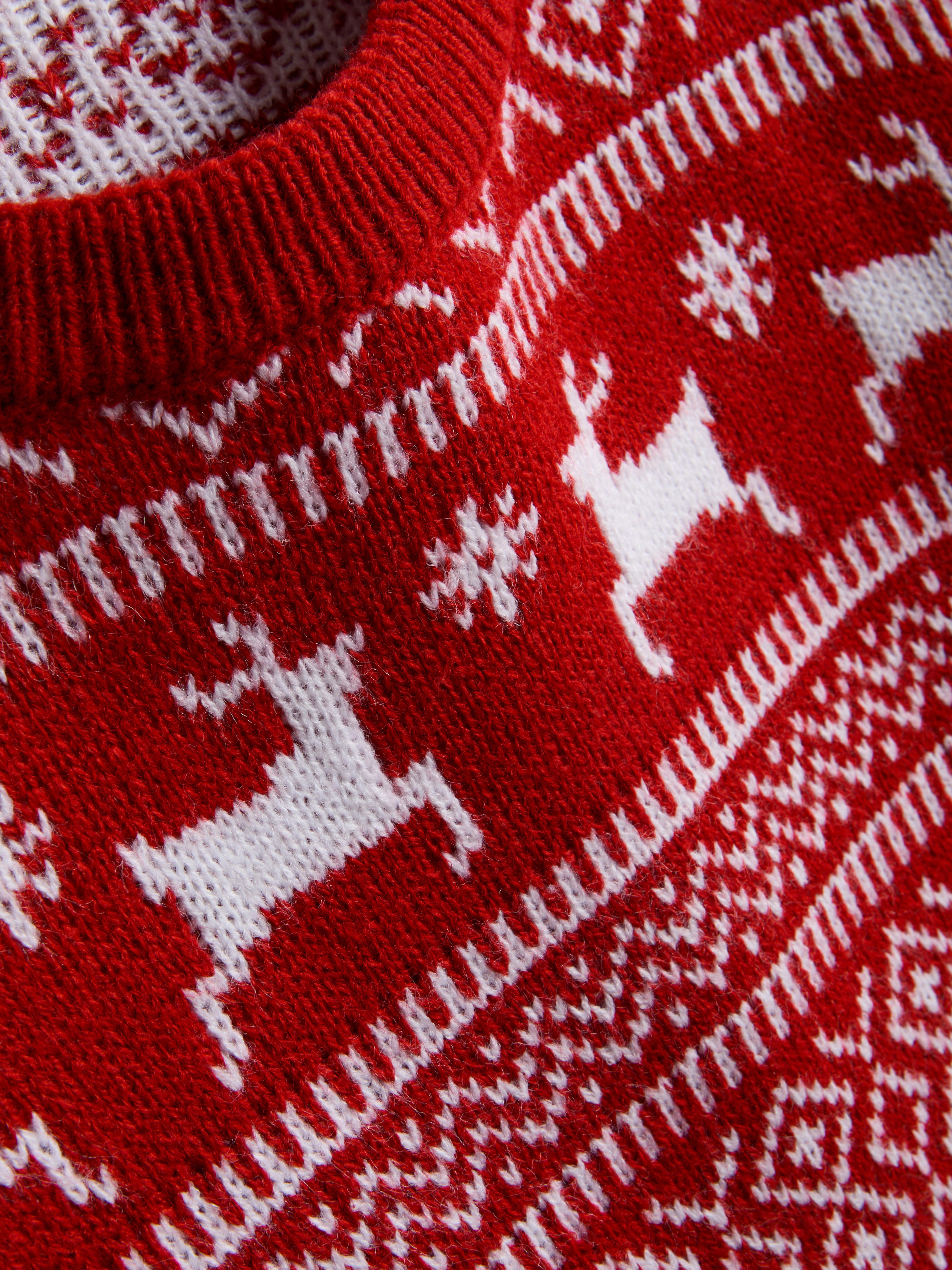 Women's Twinning Family Fair Isle Christmas Sweater