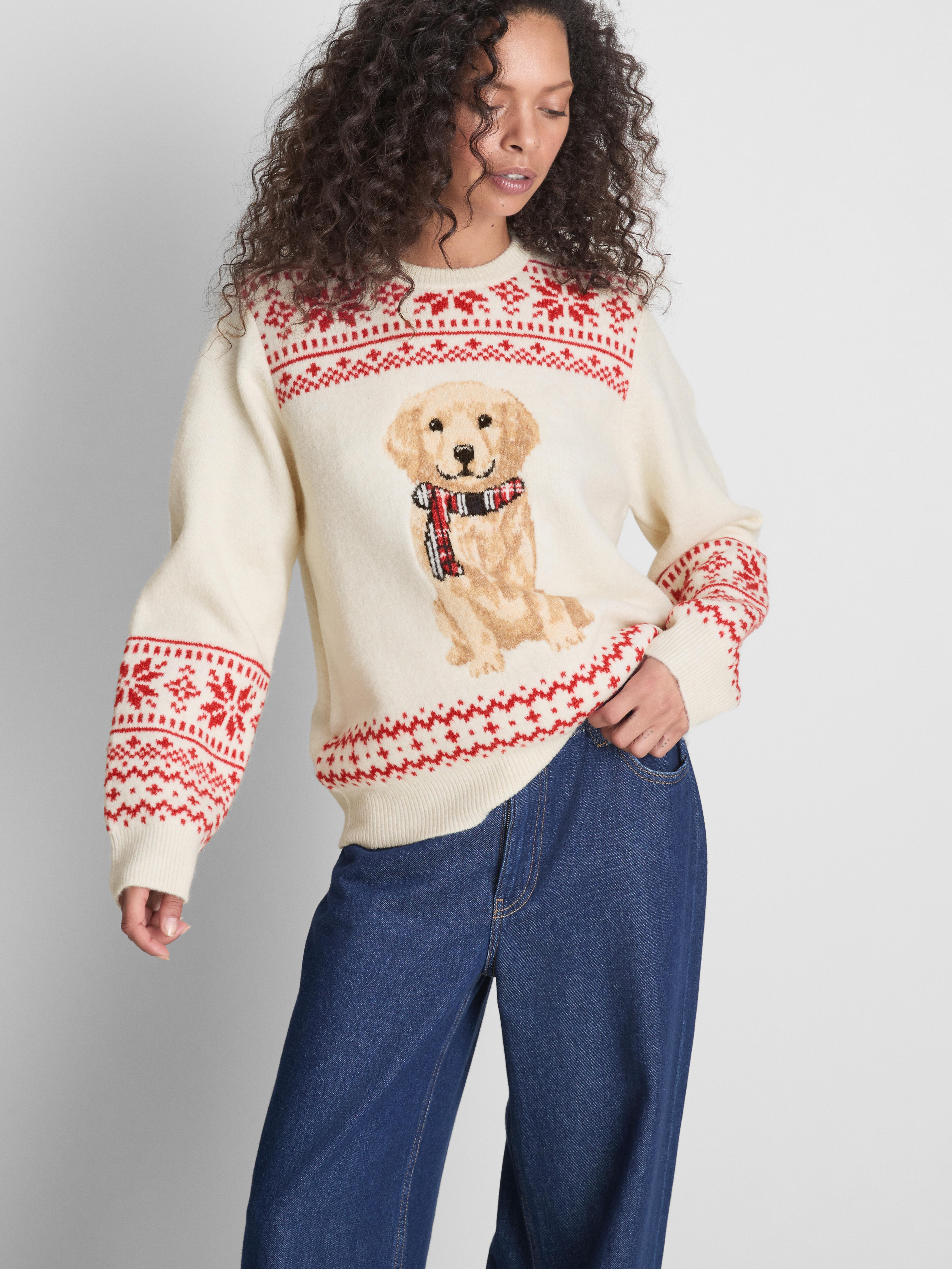 Kersttrui vrouwen, matchend met gezin en hond